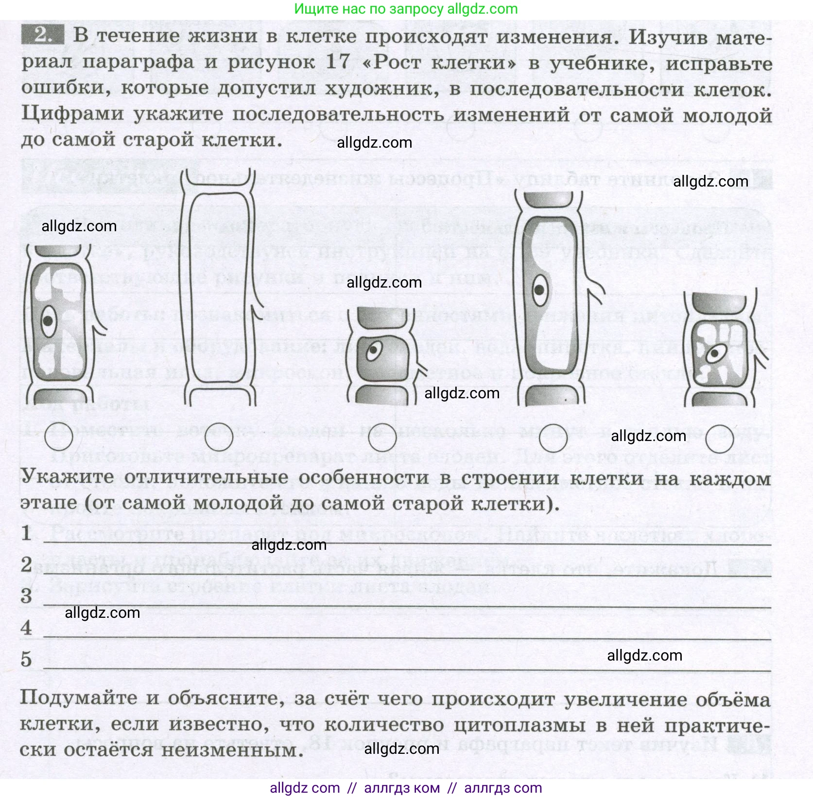 Биология, 6 класс рабочая тетрадь, авторы: Пасечник Владимир Васильевич, Суматохин Сергей Витальевич, Швецов Глеб Геннадьевич, Гапонюк Зоя Георгиевна, Косарькова Марина Викторовна, издательство Просвещение, Москва, 2023, белого цвета, страница 17, номер 2, Условие