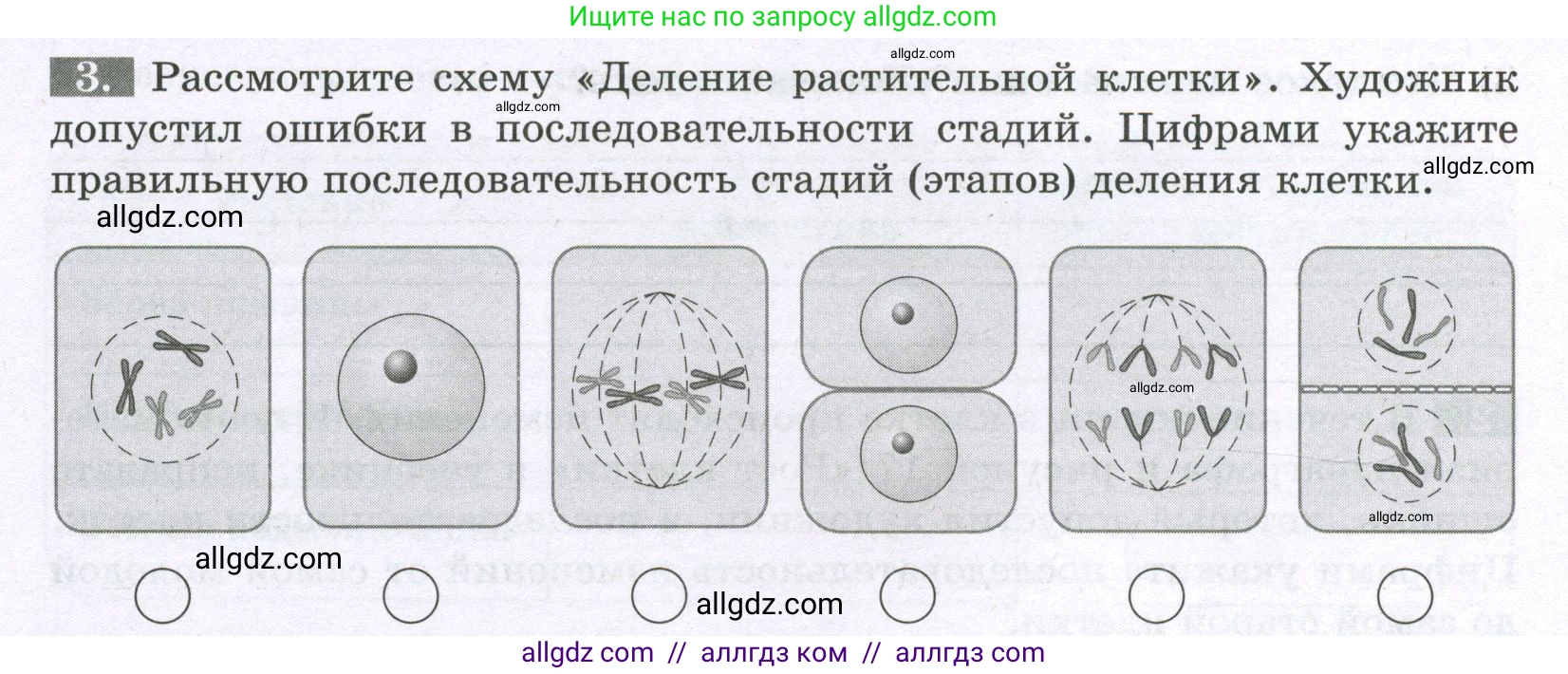 Биология, 6 класс рабочая тетрадь, авторы: Пасечник Владимир Васильевич, Суматохин Сергей Витальевич, Швецов Глеб Геннадьевич, Гапонюк Зоя Георгиевна, Косарькова Марина Викторовна, издательство Просвещение, Москва, 2023, белого цвета, страница 18, номер 3, Условие