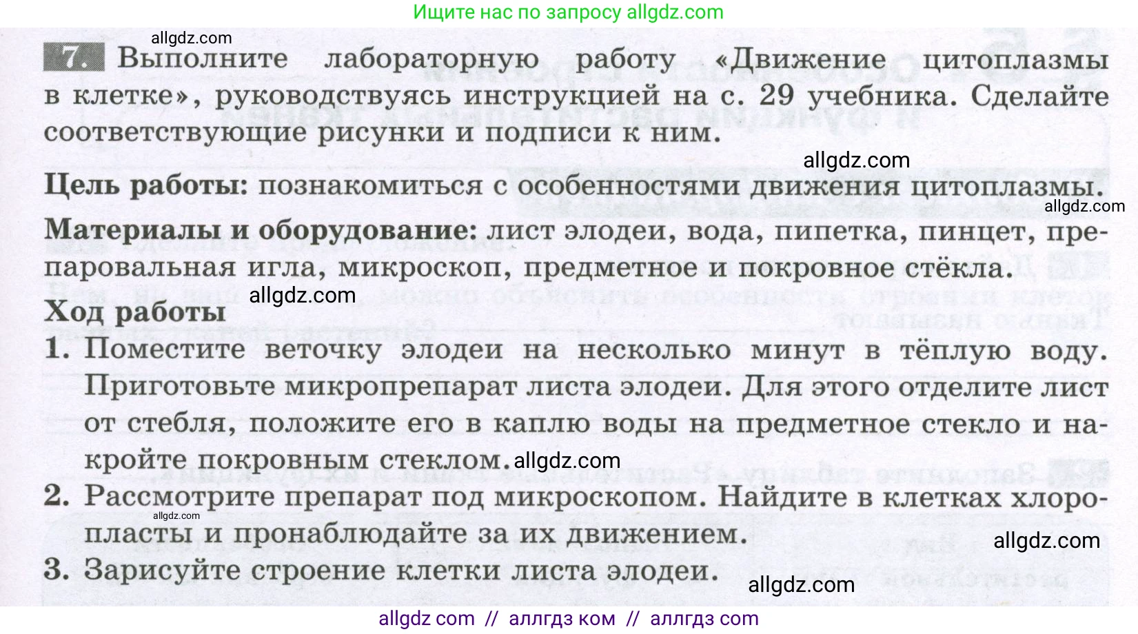 Биология, 6 класс рабочая тетрадь, авторы: Пасечник Владимир Васильевич, Суматохин Сергей Витальевич, Швецов Глеб Геннадьевич, Гапонюк Зоя Георгиевна, Косарькова Марина Викторовна, издательство Просвещение, Москва, 2023, белого цвета, страница 19, номер 7, Условие