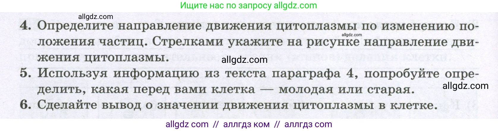 Биология, 6 класс рабочая тетрадь, авторы: Пасечник Владимир Васильевич, Суматохин Сергей Витальевич, Швецов Глеб Геннадьевич, Гапонюк Зоя Георгиевна, Косарькова Марина Викторовна, издательство Просвещение, Москва, 2023, белого цвета, страница 19, номер 7, Условие (продолжение 2)