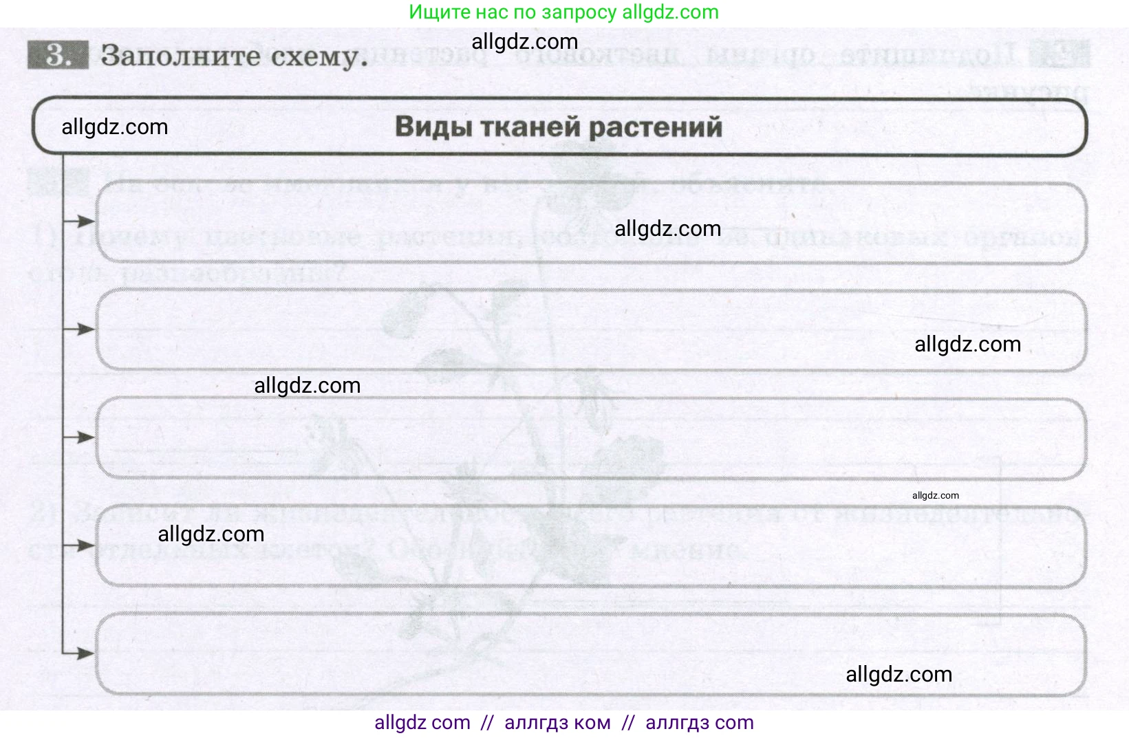 Биология, 6 класс рабочая тетрадь, авторы: Пасечник Владимир Васильевич, Суматохин Сергей Витальевич, Швецов Глеб Геннадьевич, Гапонюк Зоя Георгиевна, Косарькова Марина Викторовна, издательство Просвещение, Москва, 2023, белого цвета, страница 21, номер 3, Условие