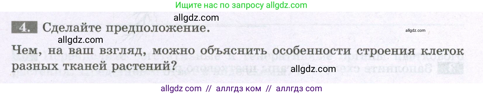 Биология, 6 класс рабочая тетрадь, авторы: Пасечник Владимир Васильевич, Суматохин Сергей Витальевич, Швецов Глеб Геннадьевич, Гапонюк Зоя Георгиевна, Косарькова Марина Викторовна, издательство Просвещение, Москва, 2023, белого цвета, страница 21, номер 4, Условие