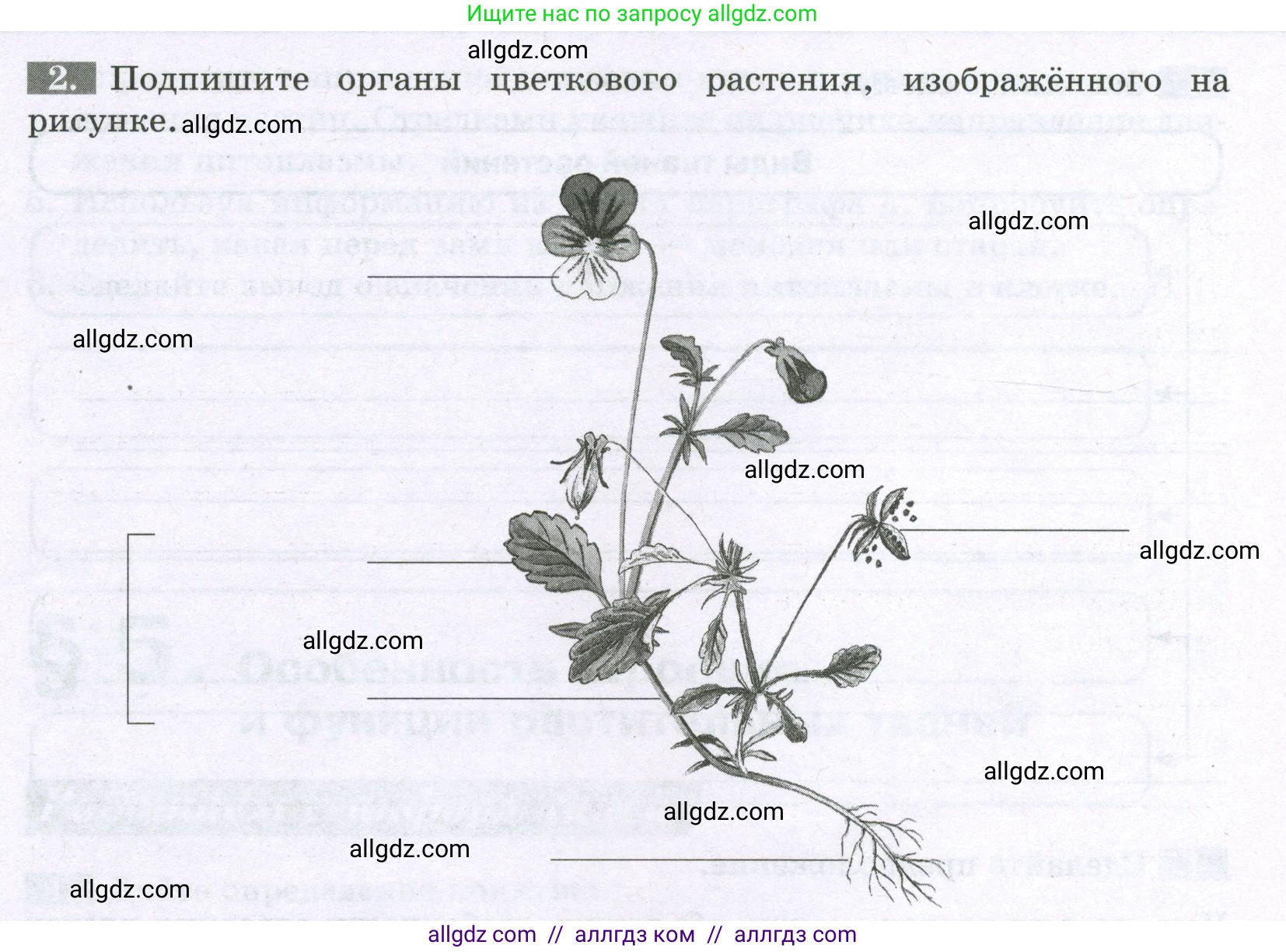 Биология, 6 класс рабочая тетрадь, авторы: Пасечник Владимир Васильевич, Суматохин Сергей Витальевич, Швецов Глеб Геннадьевич, Гапонюк Зоя Георгиевна, Косарькова Марина Викторовна, издательство Просвещение, Москва, 2023, белого цвета, страница 22, номер 2, Условие