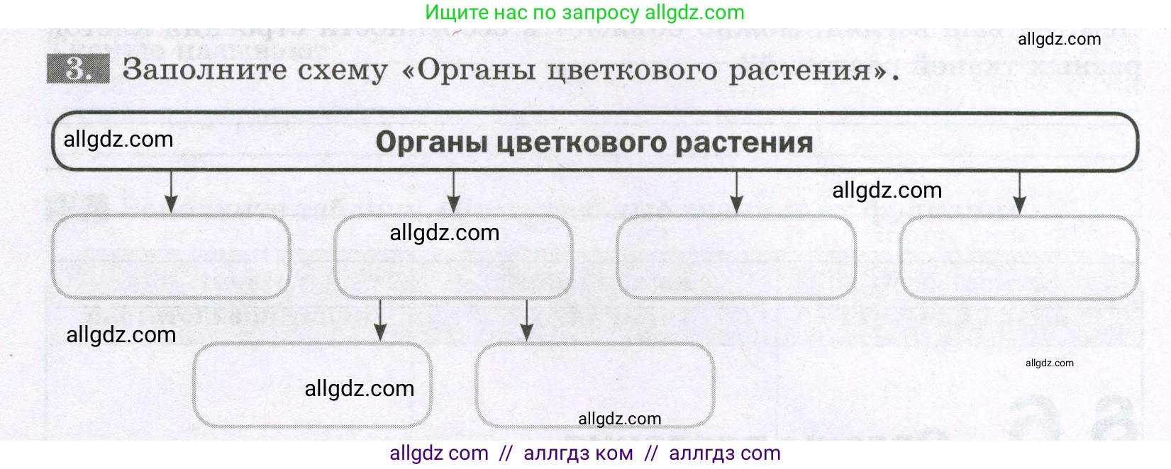 Биология, 6 класс рабочая тетрадь, авторы: Пасечник Владимир Васильевич, Суматохин Сергей Витальевич, Швецов Глеб Геннадьевич, Гапонюк Зоя Георгиевна, Косарькова Марина Викторовна, издательство Просвещение, Москва, 2023, белого цвета, страница 22, номер 3, Условие