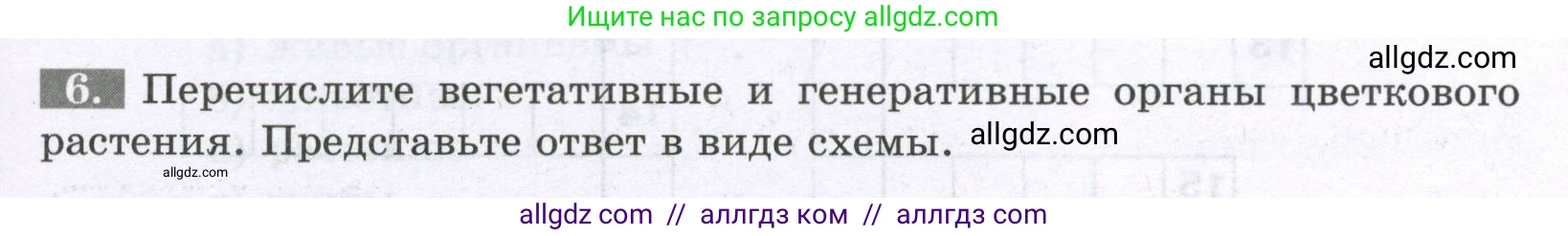 Биология, 6 класс рабочая тетрадь, авторы: Пасечник Владимир Васильевич, Суматохин Сергей Витальевич, Швецов Глеб Геннадьевич, Гапонюк Зоя Георгиевна, Косарькова Марина Викторовна, издательство Просвещение, Москва, 2023, белого цвета, страница 23, номер 6, Условие