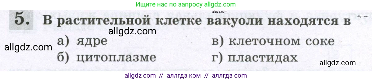 Биология, 6 класс рабочая тетрадь, авторы: Пасечник Владимир Васильевич, Суматохин Сергей Витальевич, Швецов Глеб Геннадьевич, Гапонюк Зоя Георгиевна, Косарькова Марина Викторовна, издательство Просвещение, Москва, 2023, белого цвета, страница 26, номер 5, Условие