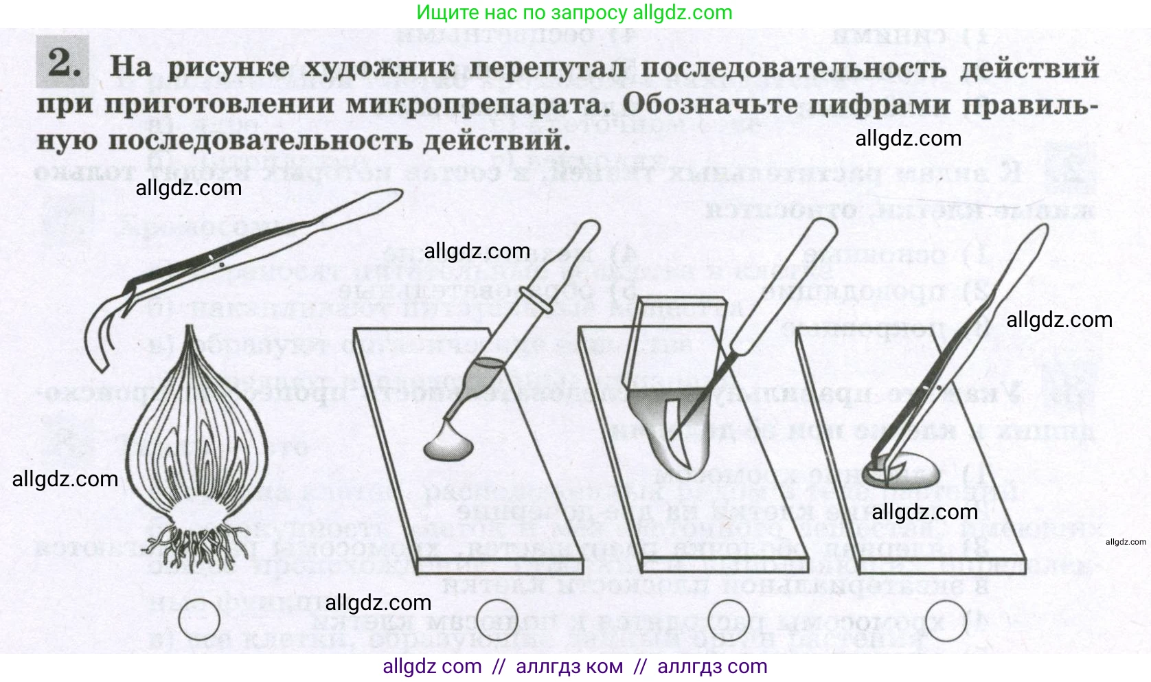 Биология, 6 класс рабочая тетрадь, авторы: Пасечник Владимир Васильевич, Суматохин Сергей Витальевич, Швецов Глеб Геннадьевич, Гапонюк Зоя Георгиевна, Косарькова Марина Викторовна, издательство Просвещение, Москва, 2023, белого цвета, страница 28, номер 2, Условие