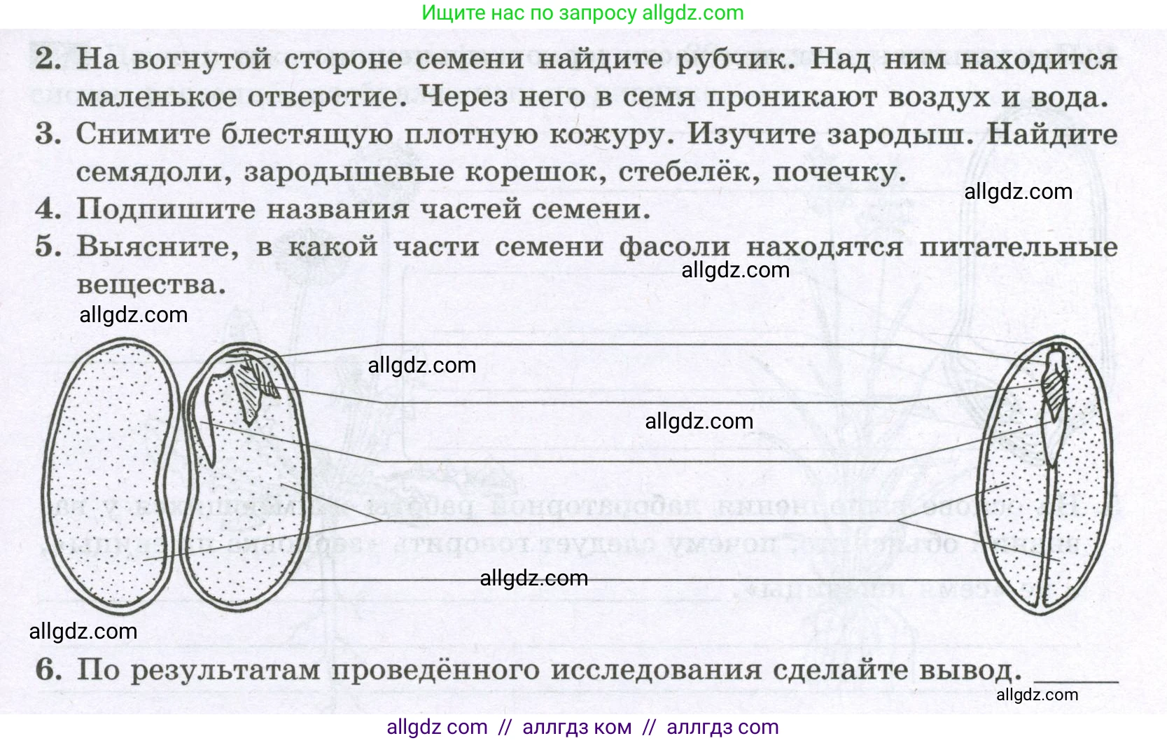 Биология, 6 класс рабочая тетрадь, авторы: Пасечник Владимир Васильевич, Суматохин Сергей Витальевич, Швецов Глеб Геннадьевич, Гапонюк Зоя Георгиевна, Косарькова Марина Викторовна, издательство Просвещение, Москва, 2023, белого цвета, страница 32, номер 5, Условие (продолжение 2)