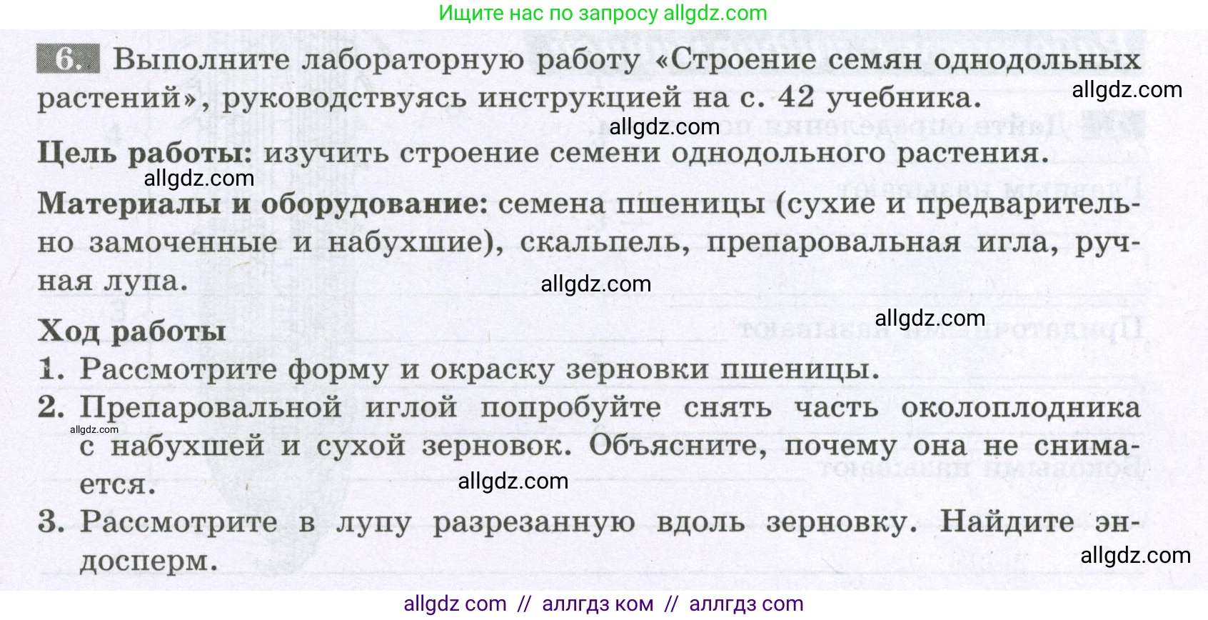 Биология, 6 класс рабочая тетрадь, авторы: Пасечник Владимир Васильевич, Суматохин Сергей Витальевич, Швецов Глеб Геннадьевич, Гапонюк Зоя Георгиевна, Косарькова Марина Викторовна, издательство Просвещение, Москва, 2023, белого цвета, страница 33, номер 6, Условие