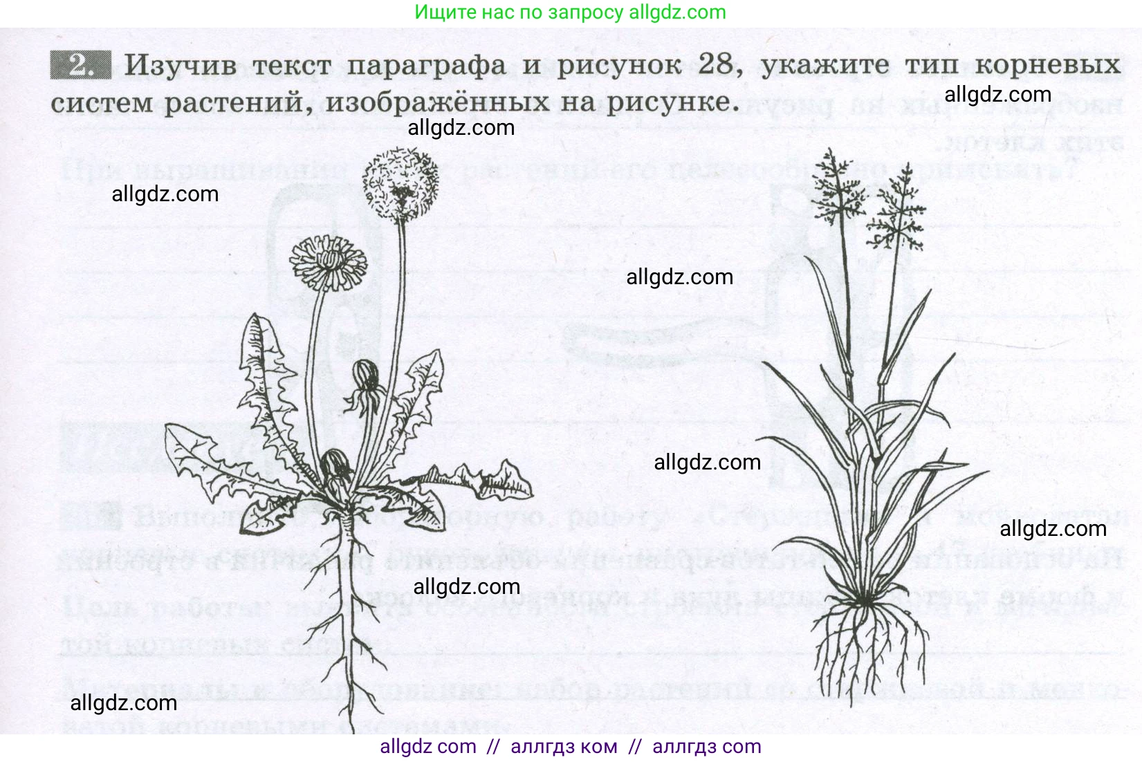 Биология, 6 класс рабочая тетрадь, авторы: Пасечник Владимир Васильевич, Суматохин Сергей Витальевич, Швецов Глеб Геннадьевич, Гапонюк Зоя Георгиевна, Косарькова Марина Викторовна, издательство Просвещение, Москва, 2023, белого цвета, страница 35, номер 2, Условие