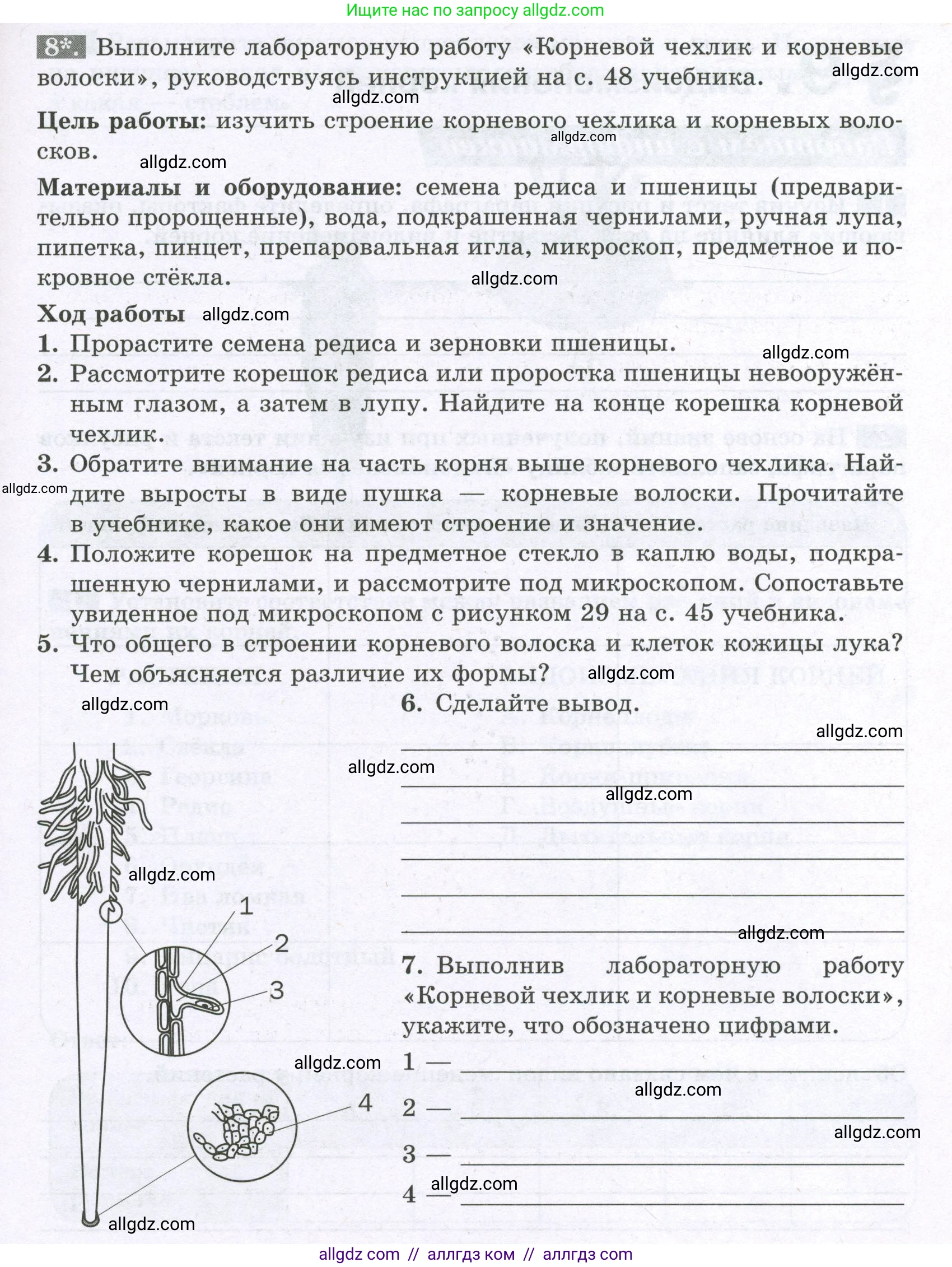 Биология, 6 класс рабочая тетрадь, авторы: Пасечник Владимир Васильевич, Суматохин Сергей Витальевич, Швецов Глеб Геннадьевич, Гапонюк Зоя Георгиевна, Косарькова Марина Викторовна, издательство Просвещение, Москва, 2023, белого цвета, страница 39, номер 8, Условие