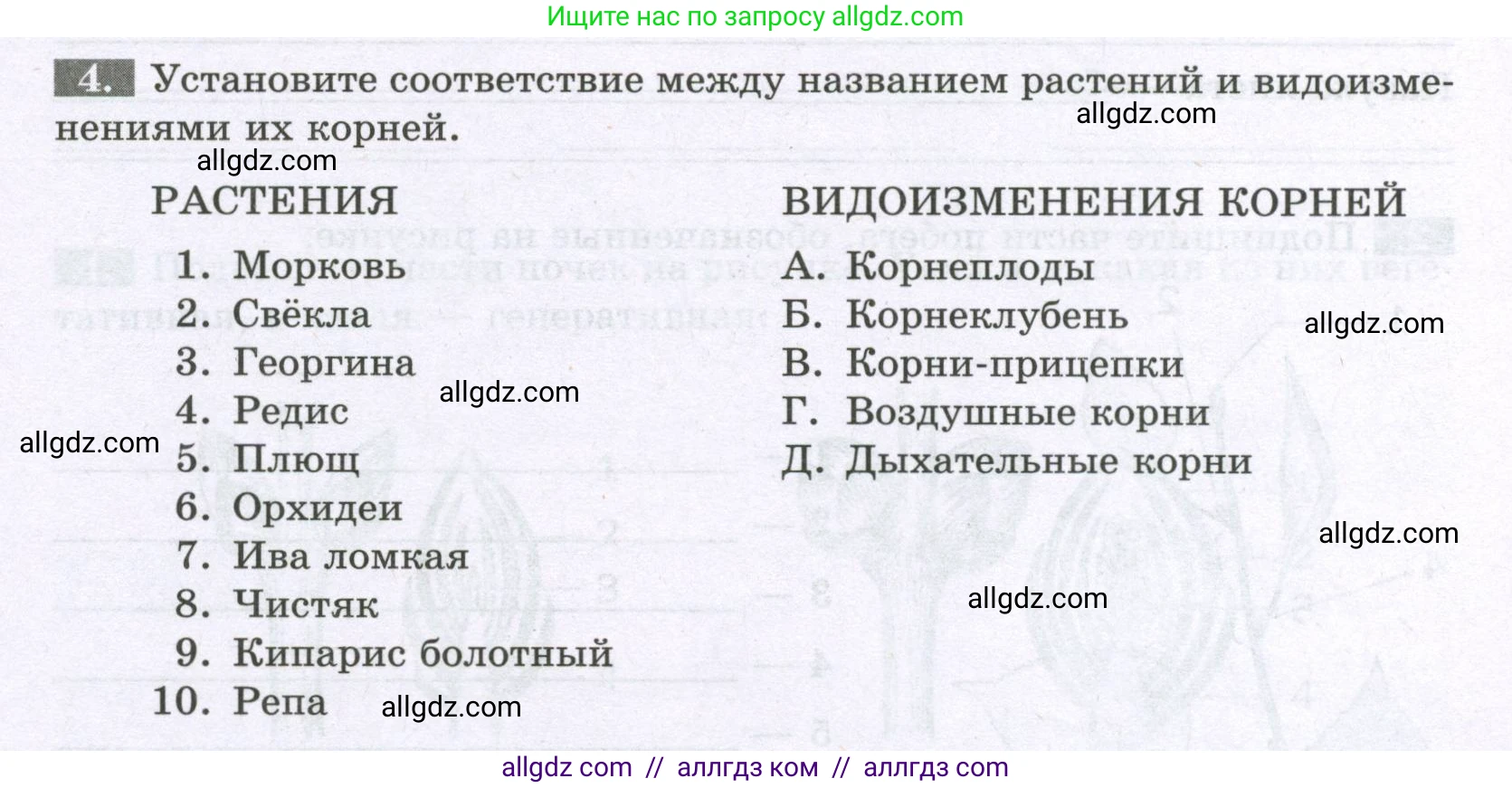 Биология, 6 класс рабочая тетрадь, авторы: Пасечник Владимир Васильевич, Суматохин Сергей Витальевич, Швецов Глеб Геннадьевич, Гапонюк Зоя Георгиевна, Косарькова Марина Викторовна, издательство Просвещение, Москва, 2023, белого цвета, страница 41, номер 4, Условие