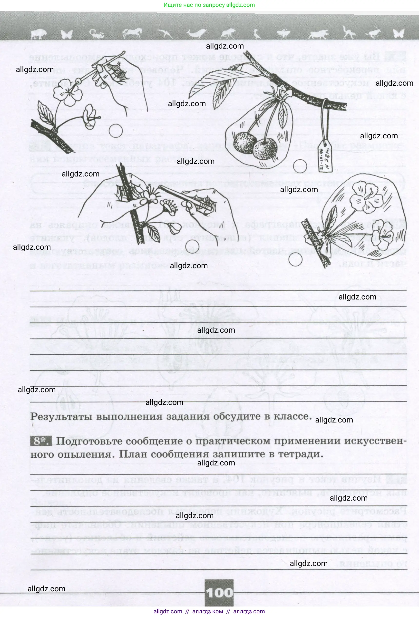Биология, 6 класс рабочая тетрадь, авторы: Пасечник Владимир Васильевич, Суматохин Сергей Витальевич, Швецов Глеб Геннадьевич, Гапонюк Зоя Георгиевна, Косарькова Марина Викторовна, издательство Просвещение, Москва, 2023, белого цвета, страница 100