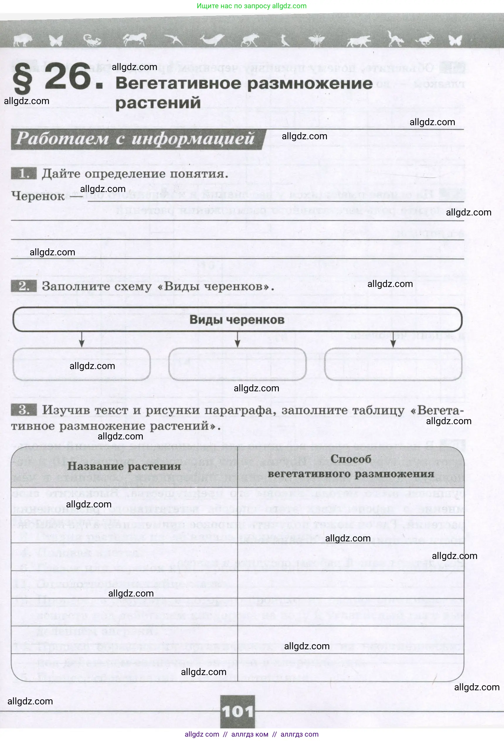Биология, 6 класс рабочая тетрадь, авторы: Пасечник Владимир Васильевич, Суматохин Сергей Витальевич, Швецов Глеб Геннадьевич, Гапонюк Зоя Георгиевна, Косарькова Марина Викторовна, издательство Просвещение, Москва, 2023, белого цвета, страница 101