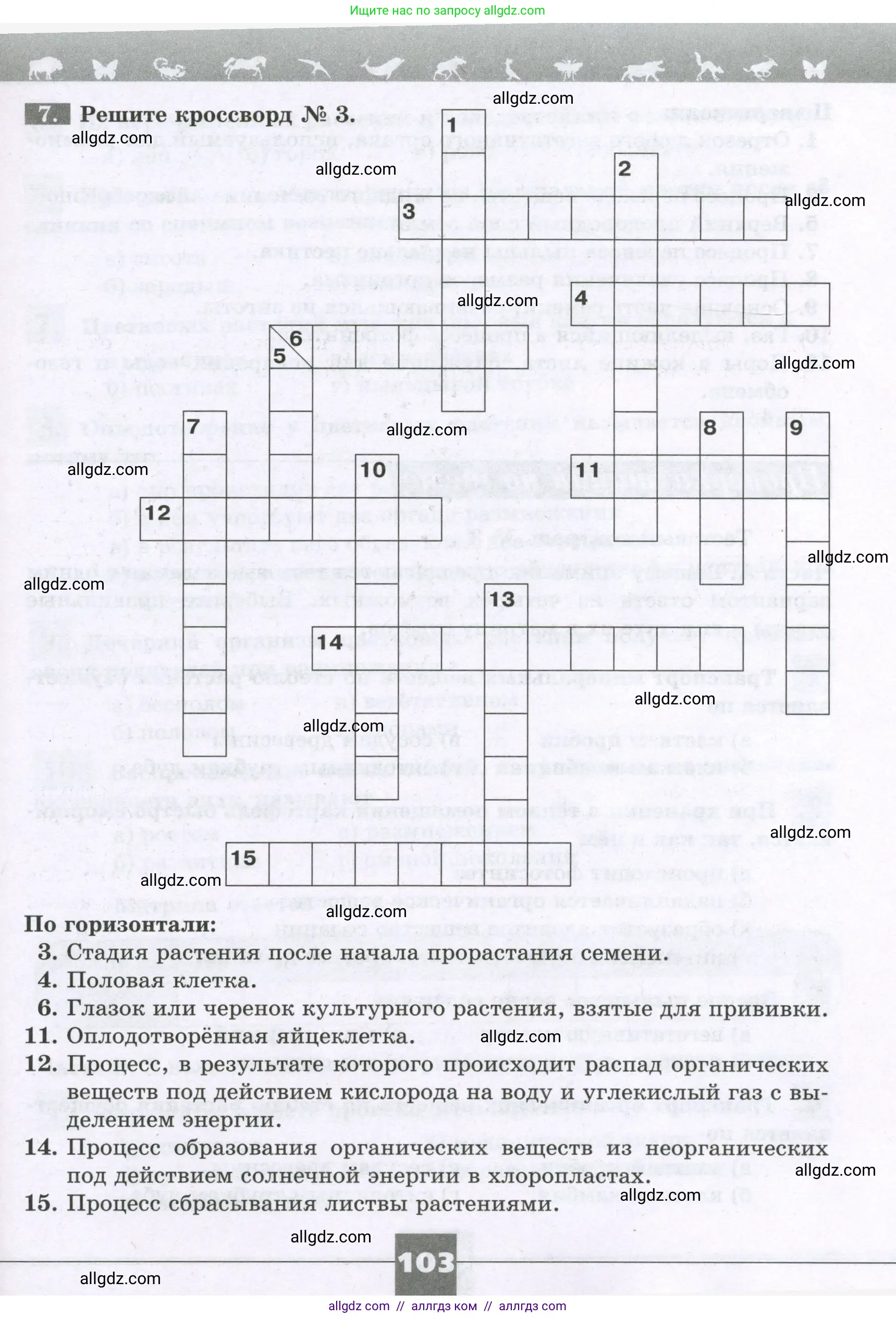 Биология, 6 класс рабочая тетрадь, авторы: Пасечник Владимир Васильевич, Суматохин Сергей Витальевич, Швецов Глеб Геннадьевич, Гапонюк Зоя Георгиевна, Косарькова Марина Викторовна, издательство Просвещение, Москва, 2023, белого цвета, страница 103