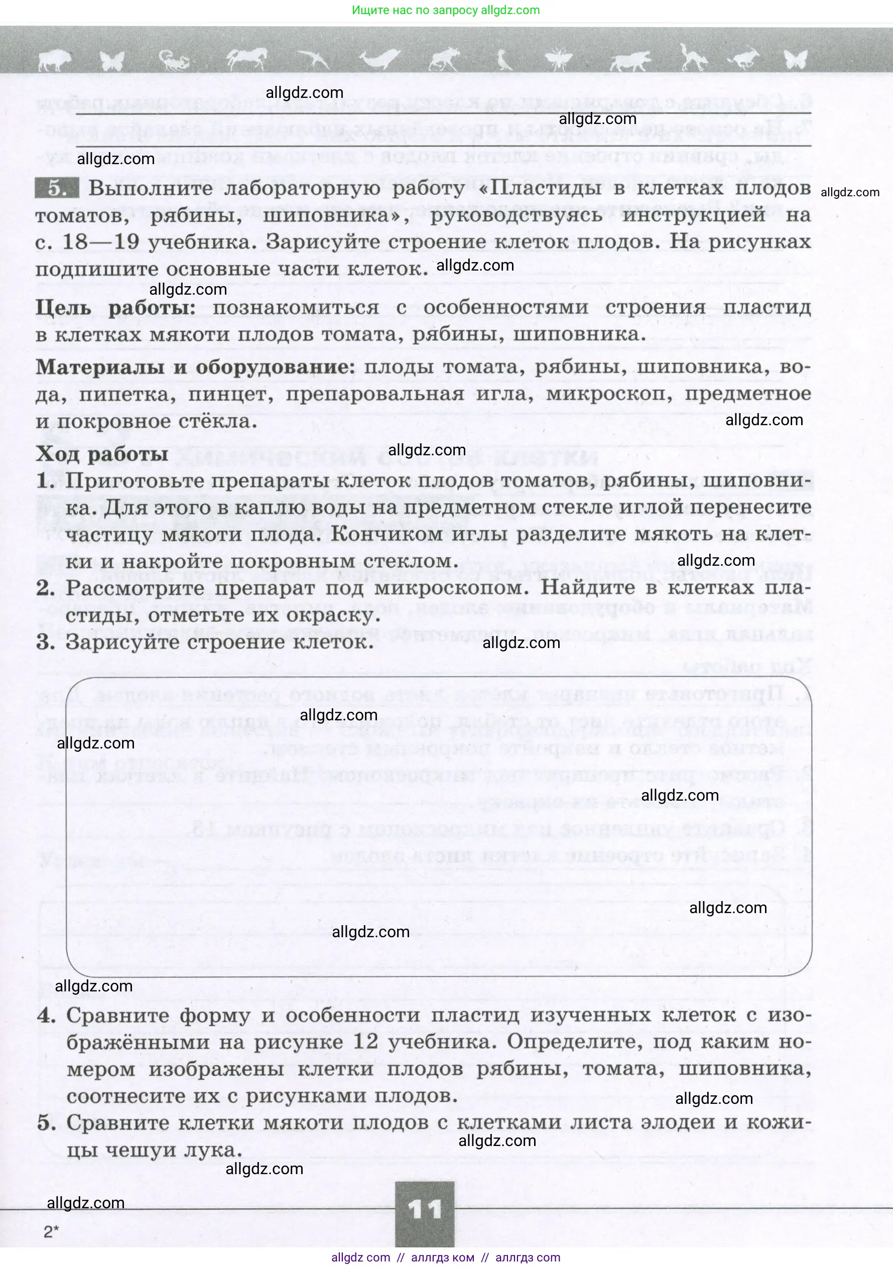 Биология, 6 класс рабочая тетрадь, авторы: Пасечник Владимир Васильевич, Суматохин Сергей Витальевич, Швецов Глеб Геннадьевич, Гапонюк Зоя Георгиевна, Косарькова Марина Викторовна, издательство Просвещение, Москва, 2023, белого цвета, страница 11