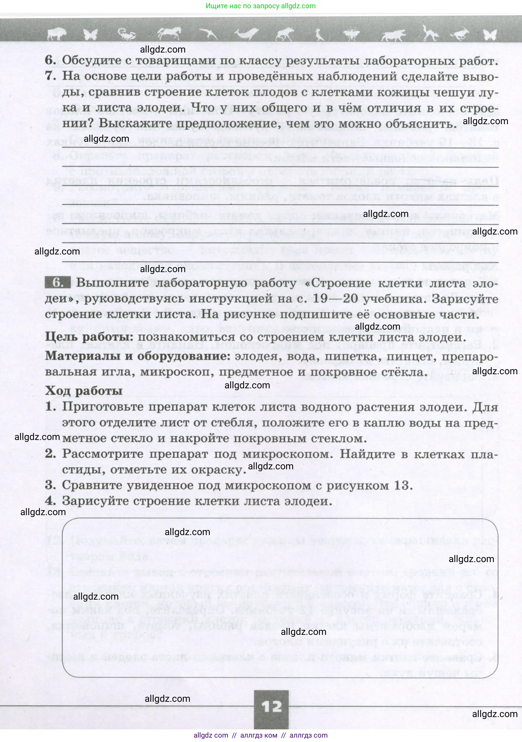 Биология, 6 класс рабочая тетрадь, авторы: Пасечник Владимир Васильевич, Суматохин Сергей Витальевич, Швецов Глеб Геннадьевич, Гапонюк Зоя Георгиевна, Косарькова Марина Викторовна, издательство Просвещение, Москва, 2023, белого цвета, страница 12