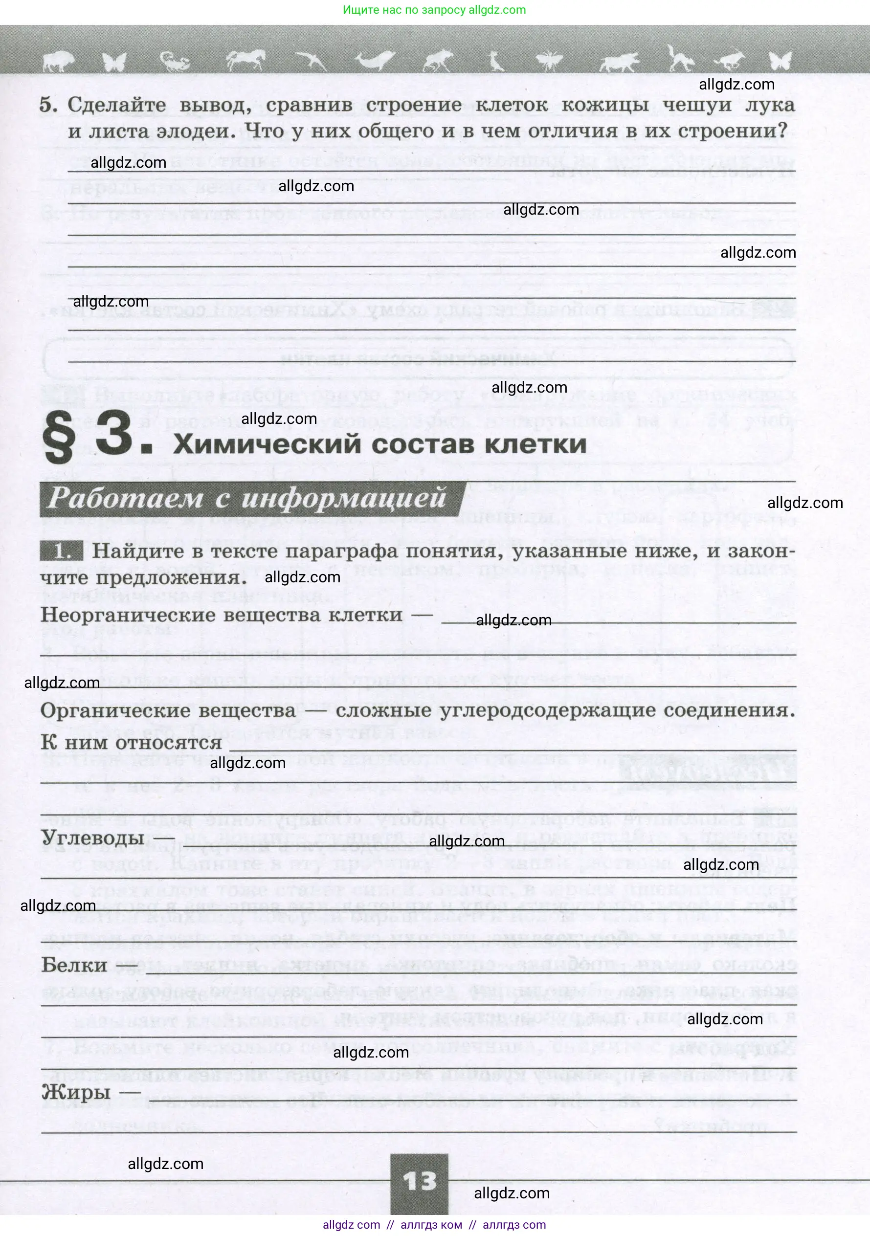 Биология, 6 класс рабочая тетрадь, авторы: Пасечник Владимир Васильевич, Суматохин Сергей Витальевич, Швецов Глеб Геннадьевич, Гапонюк Зоя Георгиевна, Косарькова Марина Викторовна, издательство Просвещение, Москва, 2023, белого цвета, страница 13