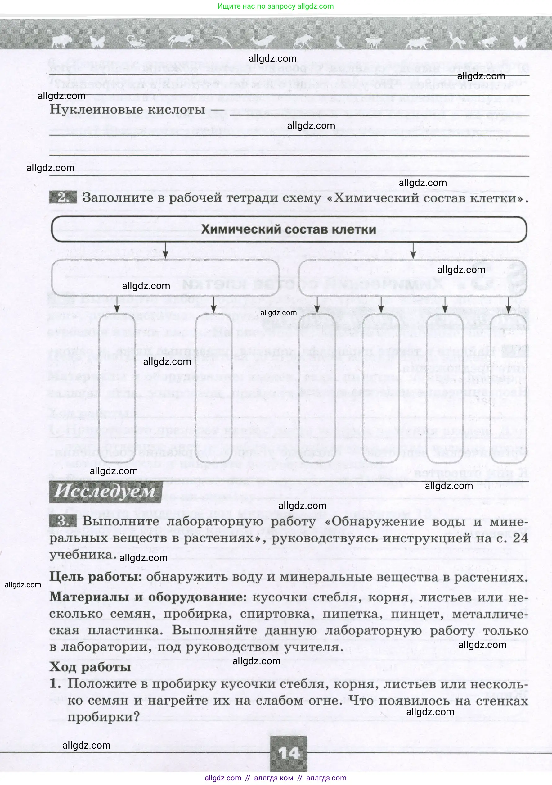 Биология, 6 класс рабочая тетрадь, авторы: Пасечник Владимир Васильевич, Суматохин Сергей Витальевич, Швецов Глеб Геннадьевич, Гапонюк Зоя Георгиевна, Косарькова Марина Викторовна, издательство Просвещение, Москва, 2023, белого цвета, страница 14