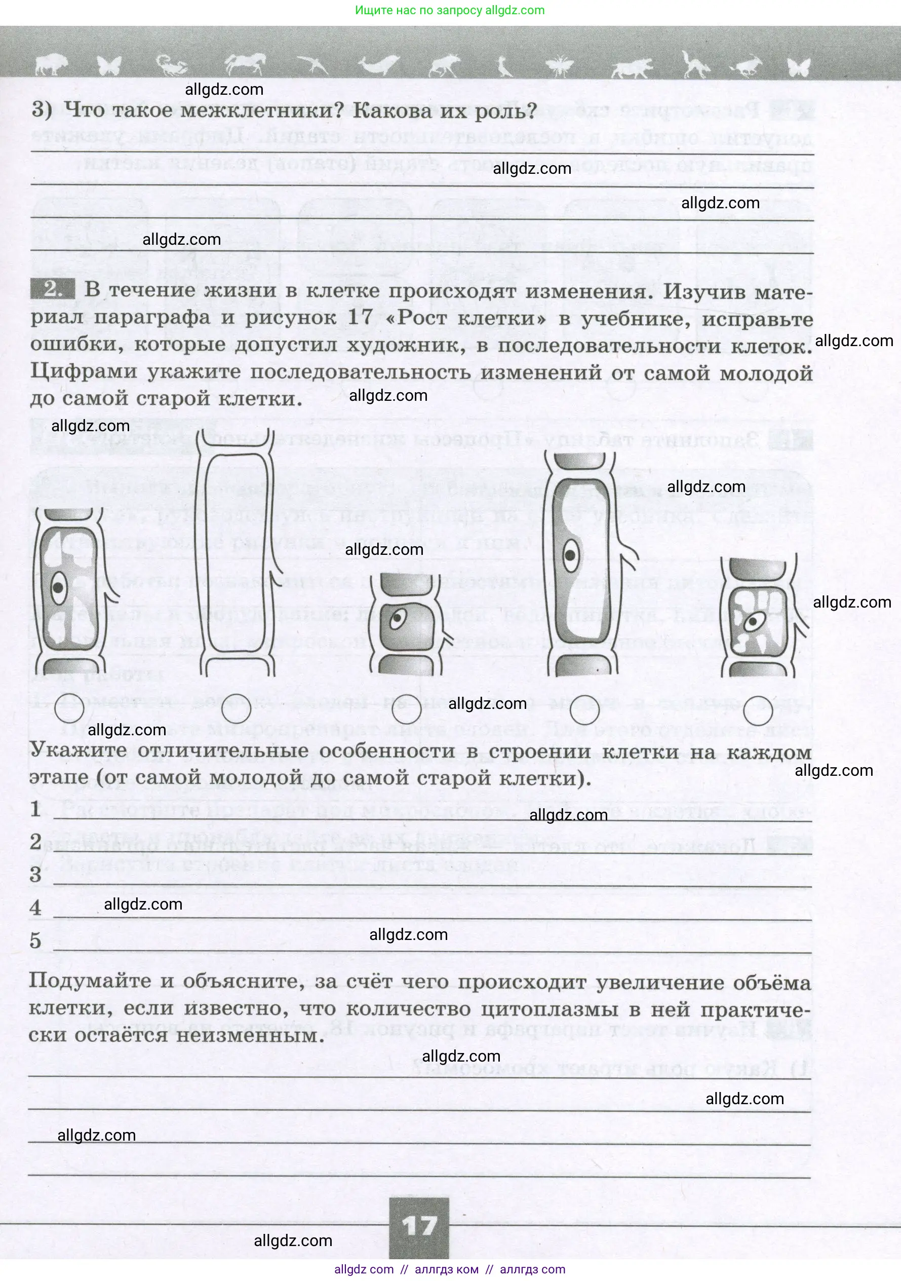 Биология, 6 класс рабочая тетрадь, авторы: Пасечник Владимир Васильевич, Суматохин Сергей Витальевич, Швецов Глеб Геннадьевич, Гапонюк Зоя Георгиевна, Косарькова Марина Викторовна, издательство Просвещение, Москва, 2023, белого цвета, страница 17