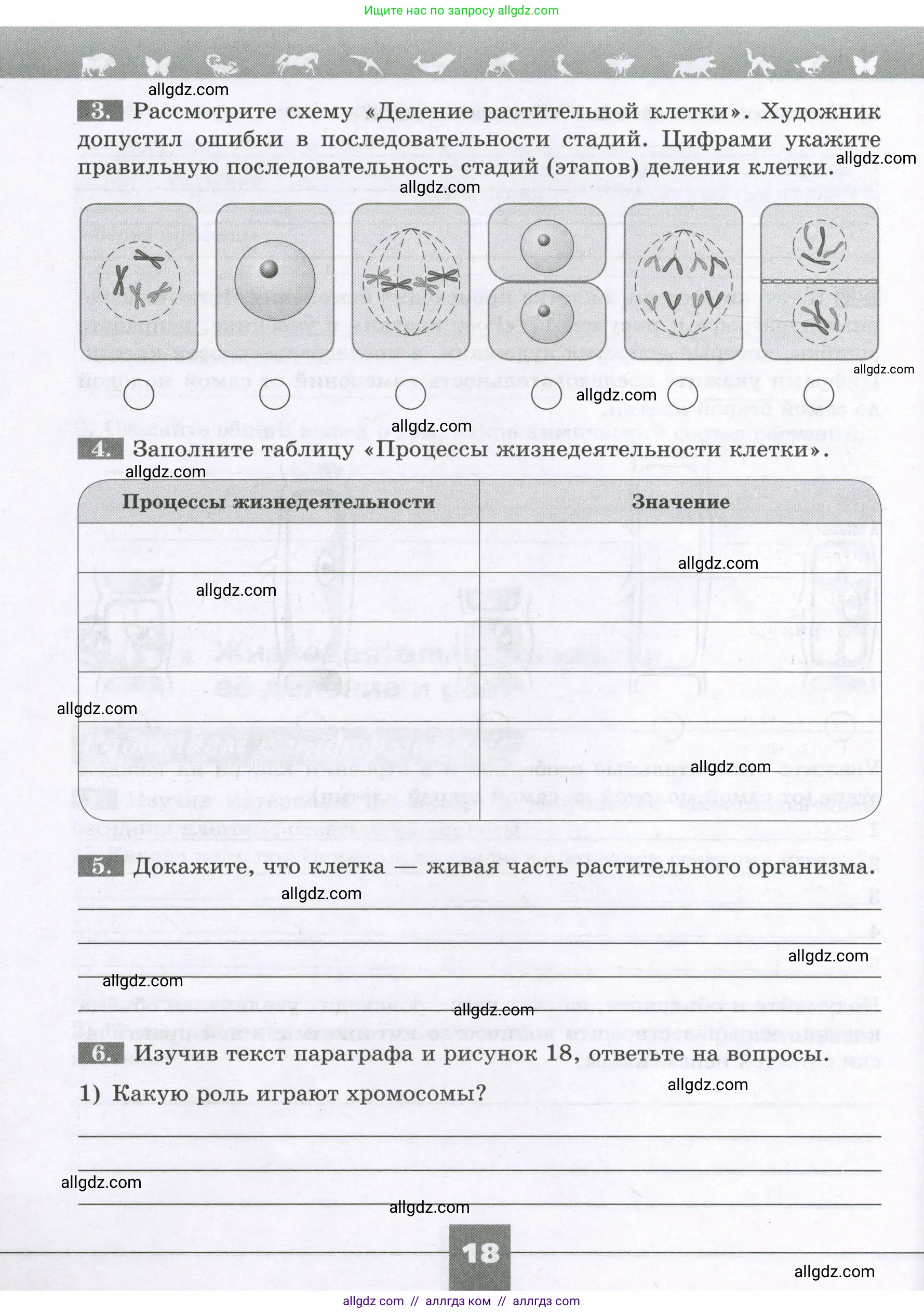 Биология, 6 класс рабочая тетрадь, авторы: Пасечник Владимир Васильевич, Суматохин Сергей Витальевич, Швецов Глеб Геннадьевич, Гапонюк Зоя Георгиевна, Косарькова Марина Викторовна, издательство Просвещение, Москва, 2023, белого цвета, страница 18