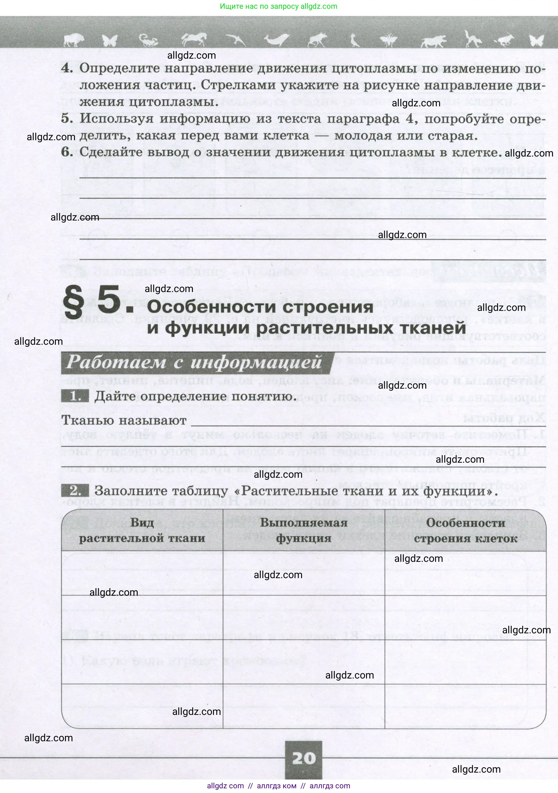 Биология, 6 класс рабочая тетрадь, авторы: Пасечник Владимир Васильевич, Суматохин Сергей Витальевич, Швецов Глеб Геннадьевич, Гапонюк Зоя Георгиевна, Косарькова Марина Викторовна, издательство Просвещение, Москва, 2023, белого цвета, страница 20