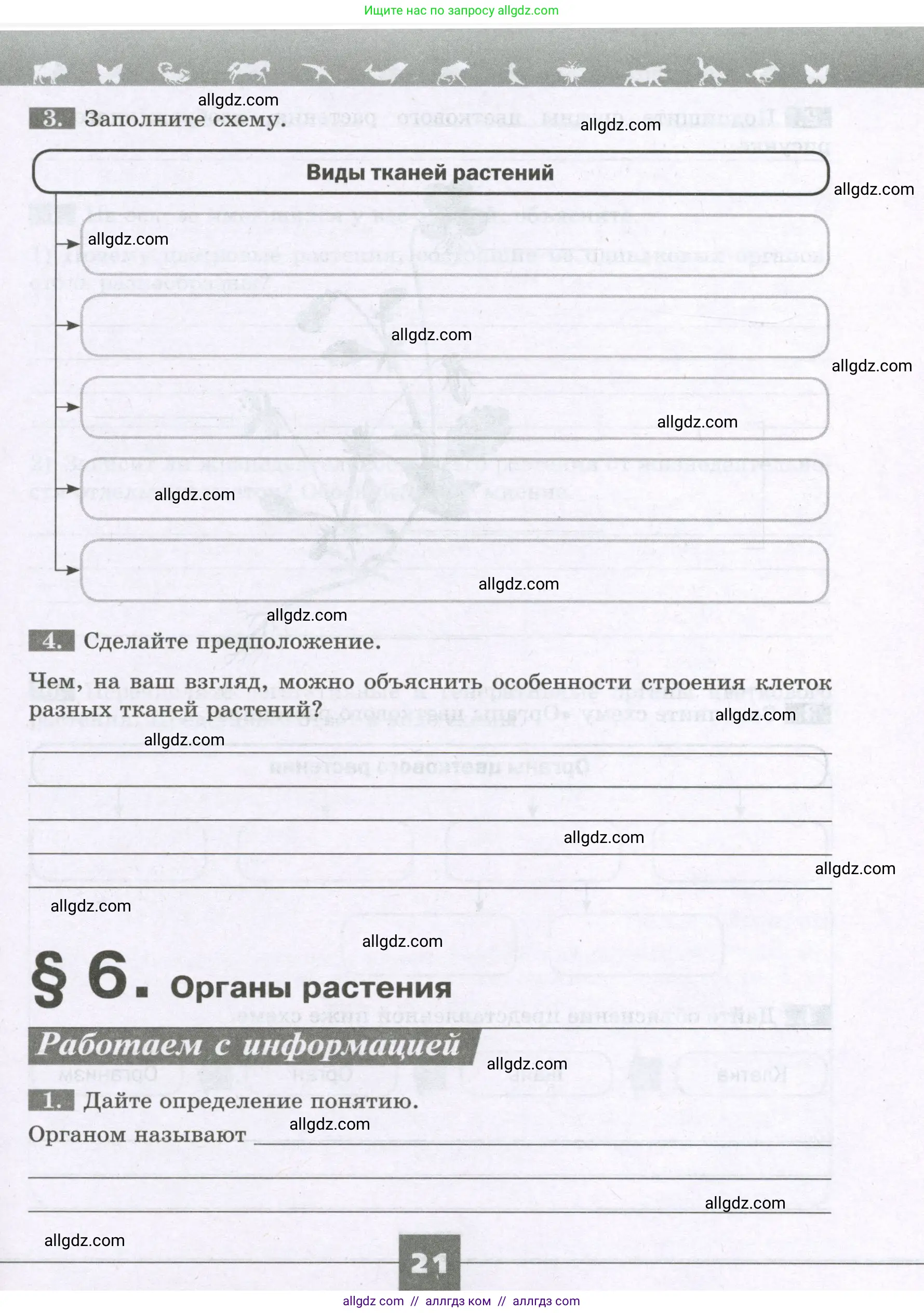 Биология, 6 класс рабочая тетрадь, авторы: Пасечник Владимир Васильевич, Суматохин Сергей Витальевич, Швецов Глеб Геннадьевич, Гапонюк Зоя Георгиевна, Косарькова Марина Викторовна, издательство Просвещение, Москва, 2023, белого цвета, страница 21