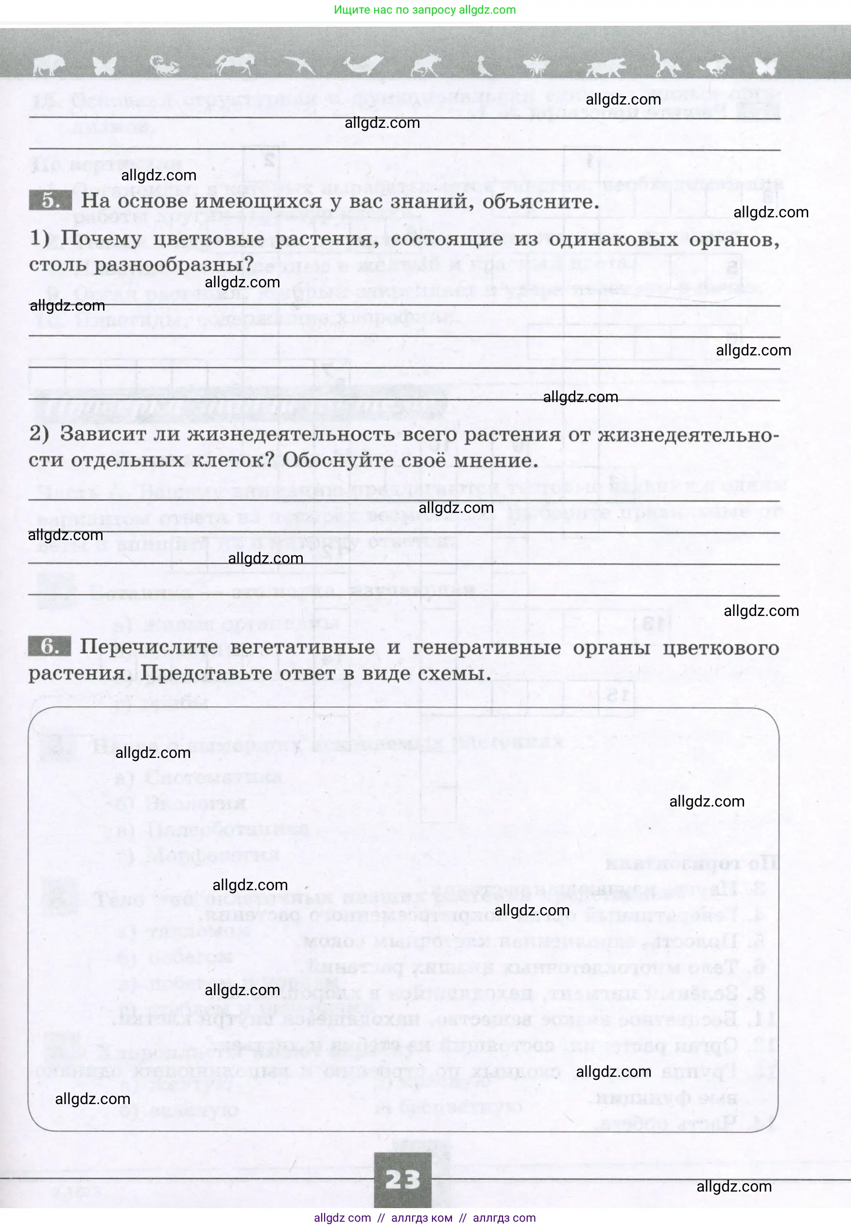 Биология, 6 класс рабочая тетрадь, авторы: Пасечник Владимир Васильевич, Суматохин Сергей Витальевич, Швецов Глеб Геннадьевич, Гапонюк Зоя Георгиевна, Косарькова Марина Викторовна, издательство Просвещение, Москва, 2023, белого цвета, страница 23