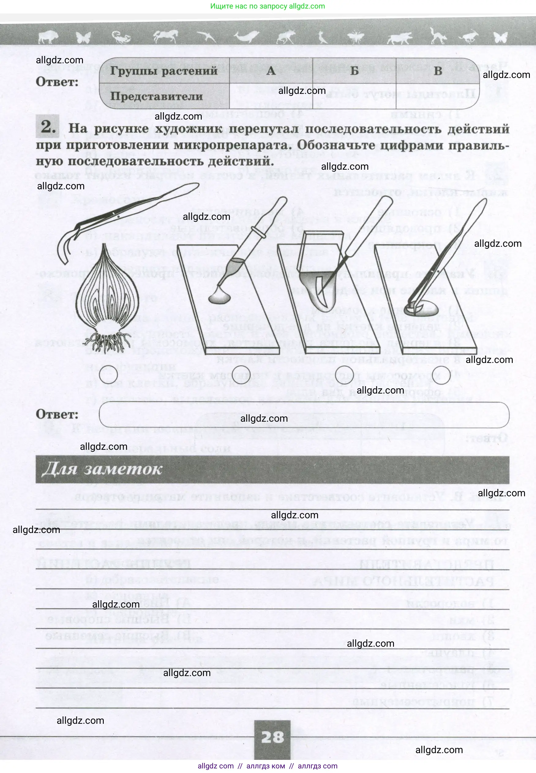 Биология, 6 класс рабочая тетрадь, авторы: Пасечник Владимир Васильевич, Суматохин Сергей Витальевич, Швецов Глеб Геннадьевич, Гапонюк Зоя Георгиевна, Косарькова Марина Викторовна, издательство Просвещение, Москва, 2023, белого цвета, страница 28