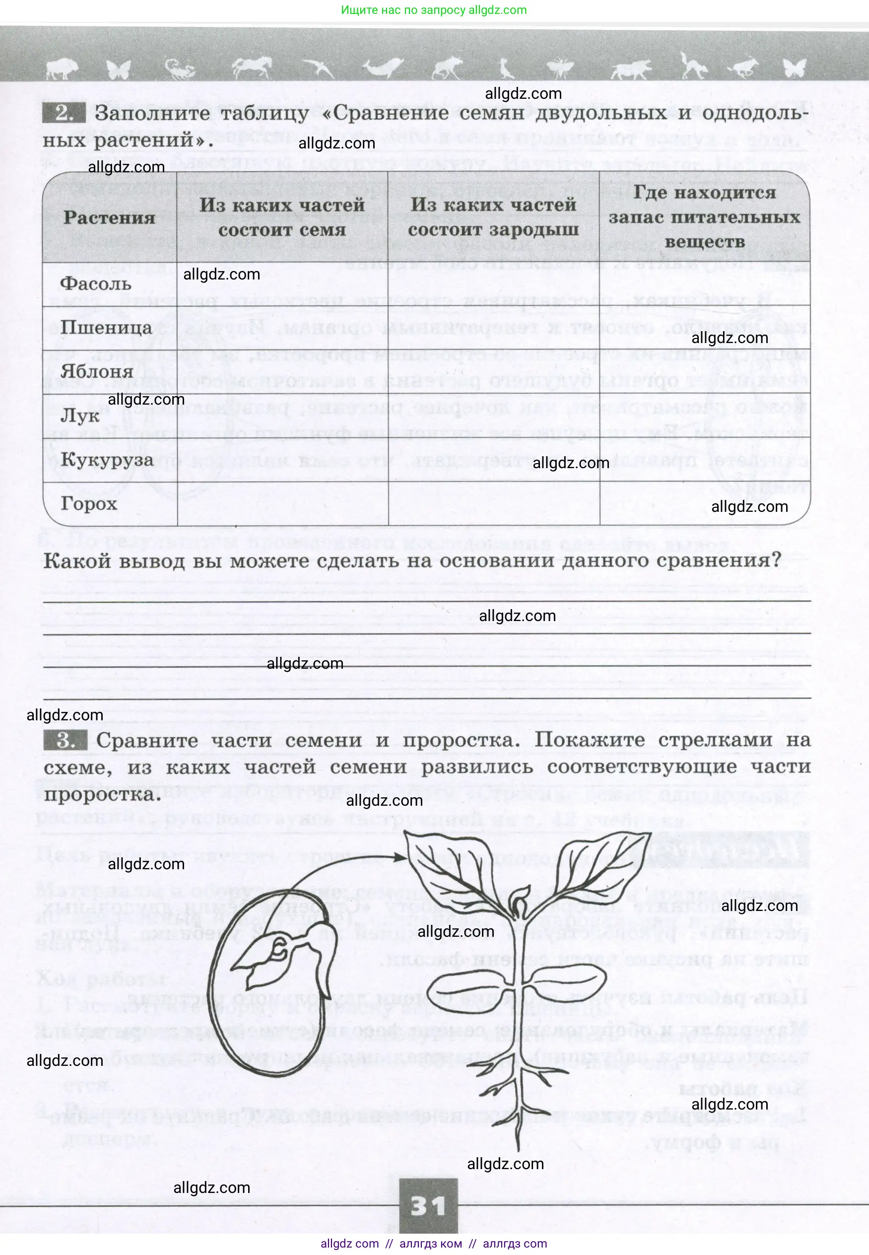 Биология, 6 класс рабочая тетрадь, авторы: Пасечник Владимир Васильевич, Суматохин Сергей Витальевич, Швецов Глеб Геннадьевич, Гапонюк Зоя Георгиевна, Косарькова Марина Викторовна, издательство Просвещение, Москва, 2023, белого цвета, страница 31