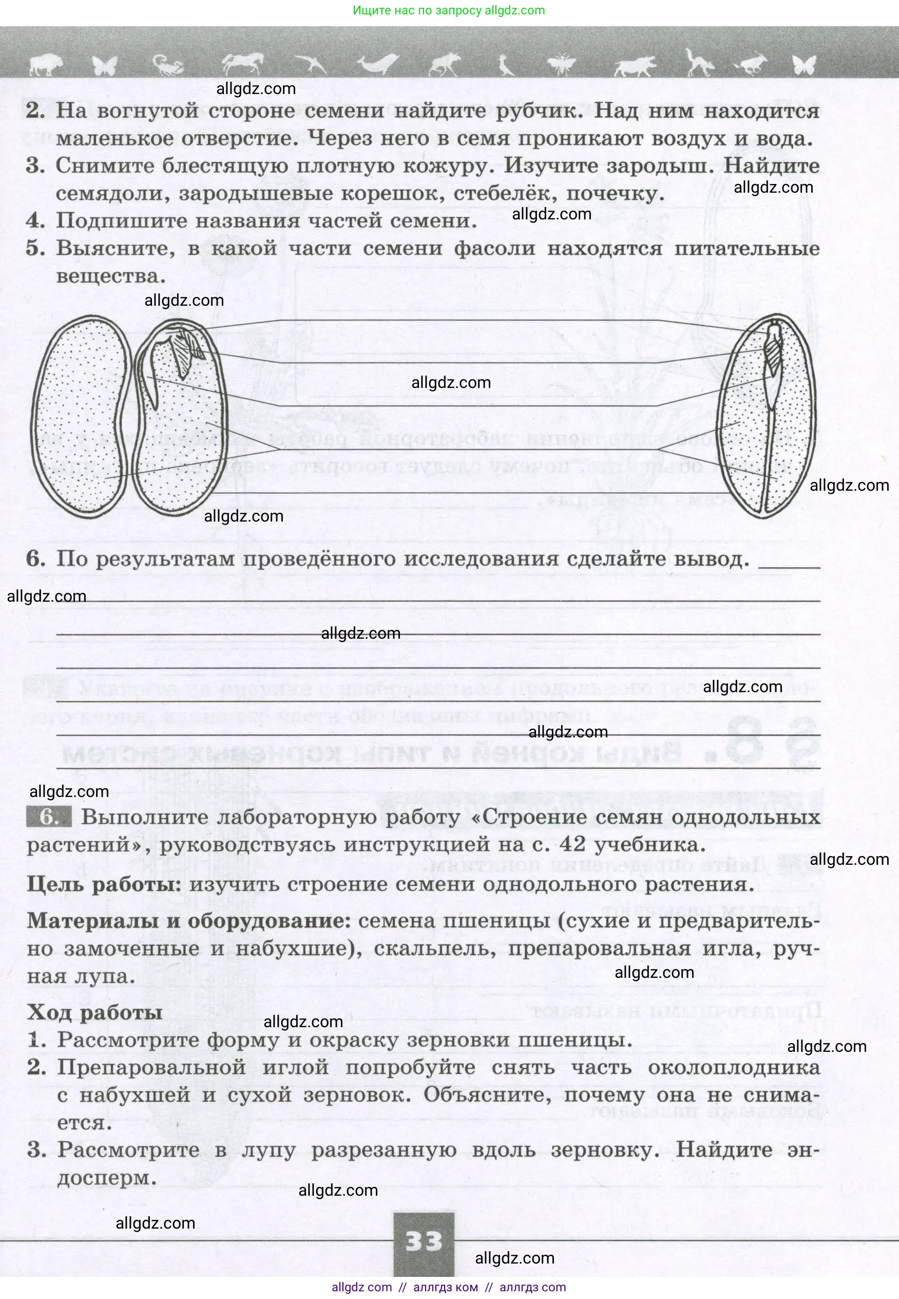 Биология, 6 класс рабочая тетрадь, авторы: Пасечник Владимир Васильевич, Суматохин Сергей Витальевич, Швецов Глеб Геннадьевич, Гапонюк Зоя Георгиевна, Косарькова Марина Викторовна, издательство Просвещение, Москва, 2023, белого цвета, страница 33