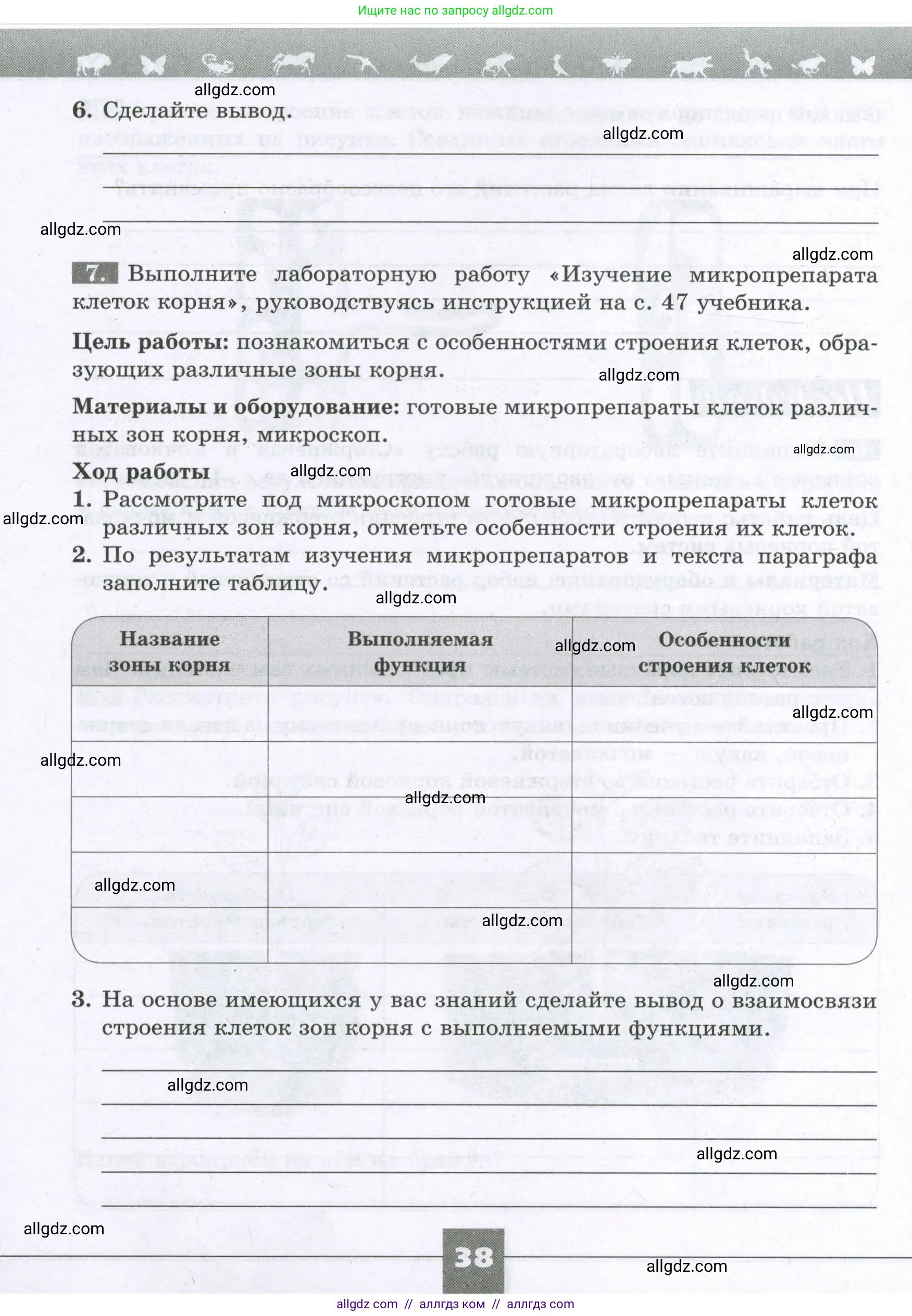 Биология, 6 класс рабочая тетрадь, авторы: Пасечник Владимир Васильевич, Суматохин Сергей Витальевич, Швецов Глеб Геннадьевич, Гапонюк Зоя Георгиевна, Косарькова Марина Викторовна, издательство Просвещение, Москва, 2023, белого цвета, страница 38