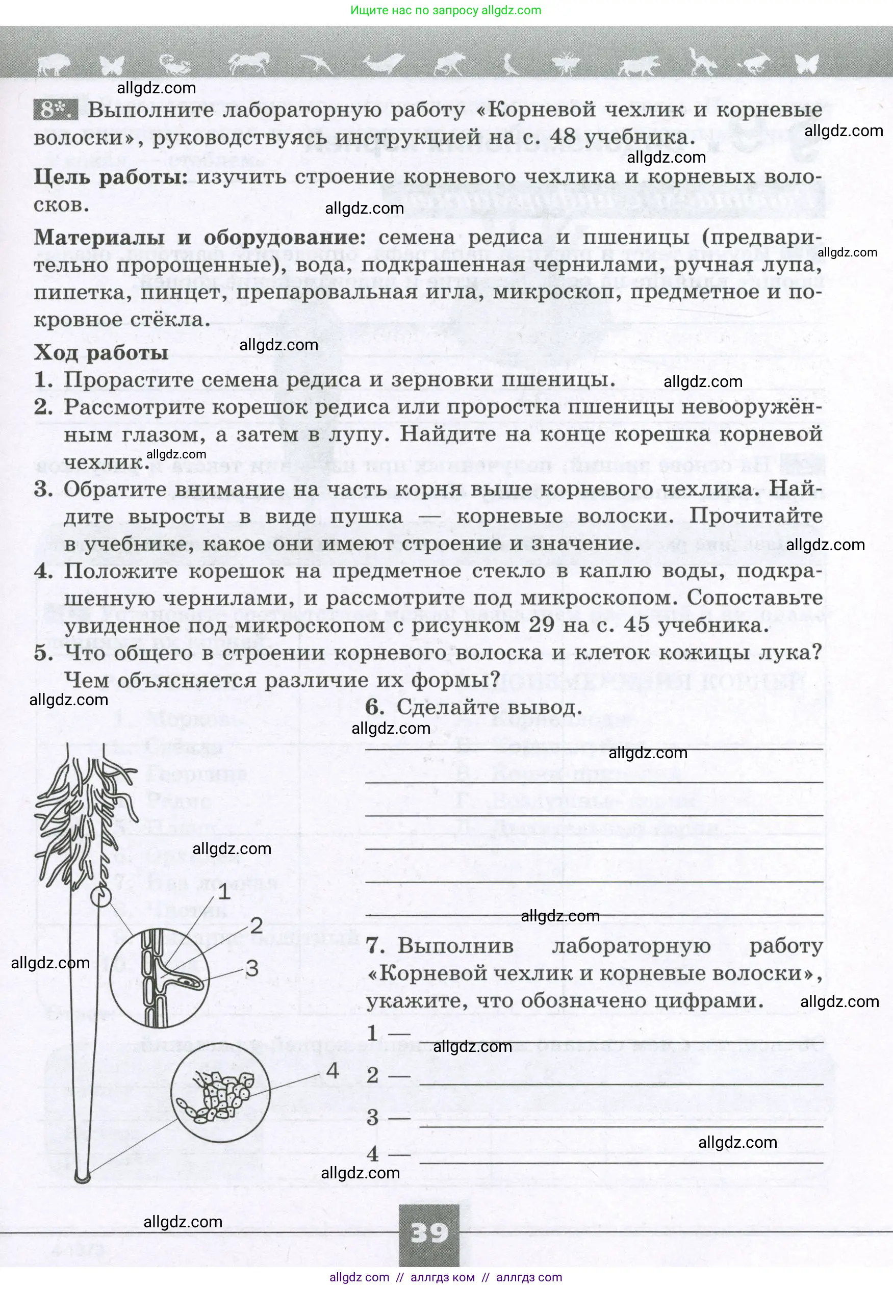 Биология, 6 класс рабочая тетрадь, авторы: Пасечник Владимир Васильевич, Суматохин Сергей Витальевич, Швецов Глеб Геннадьевич, Гапонюк Зоя Георгиевна, Косарькова Марина Викторовна, издательство Просвещение, Москва, 2023, белого цвета, страница 39