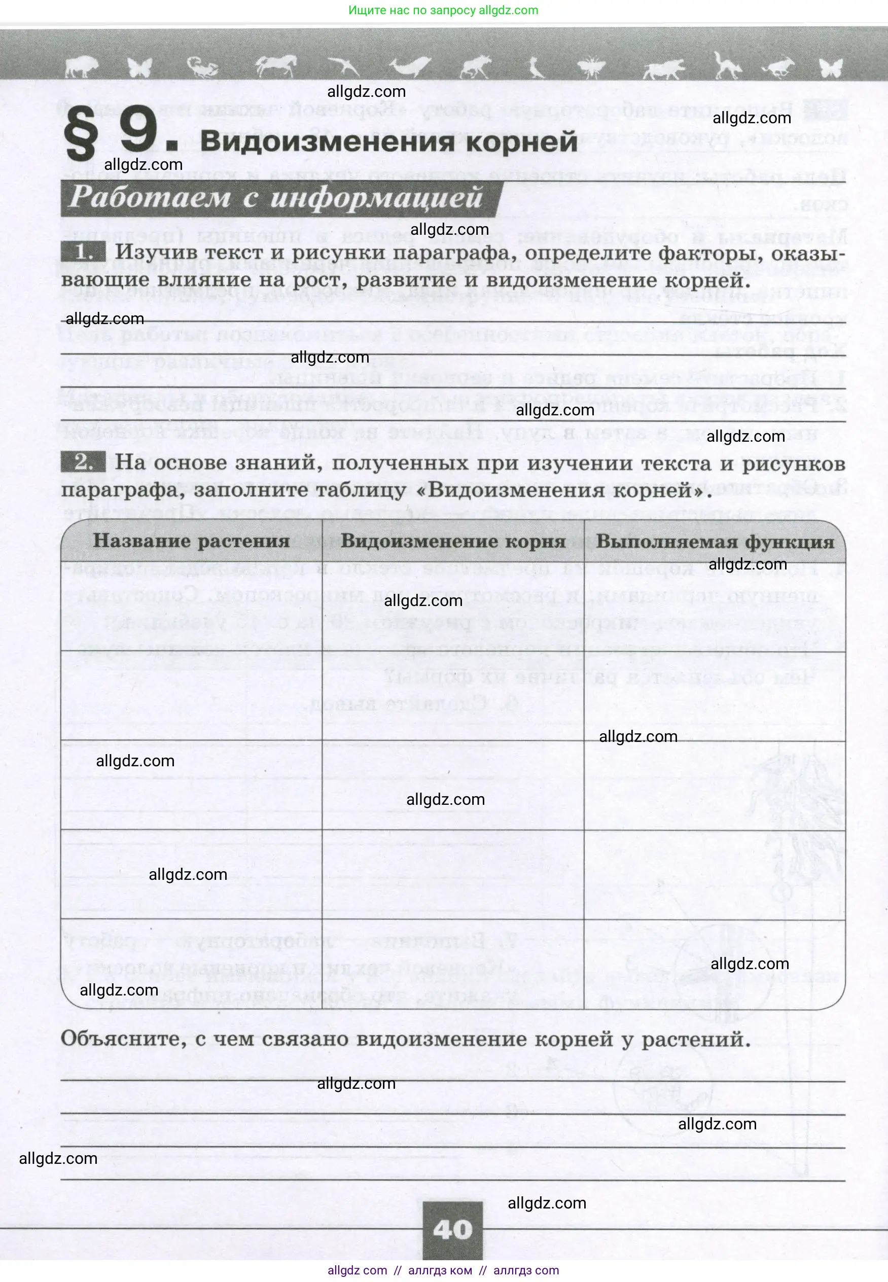 Биология, 6 класс рабочая тетрадь, авторы: Пасечник Владимир Васильевич, Суматохин Сергей Витальевич, Швецов Глеб Геннадьевич, Гапонюк Зоя Георгиевна, Косарькова Марина Викторовна, издательство Просвещение, Москва, 2023, белого цвета, страница 40