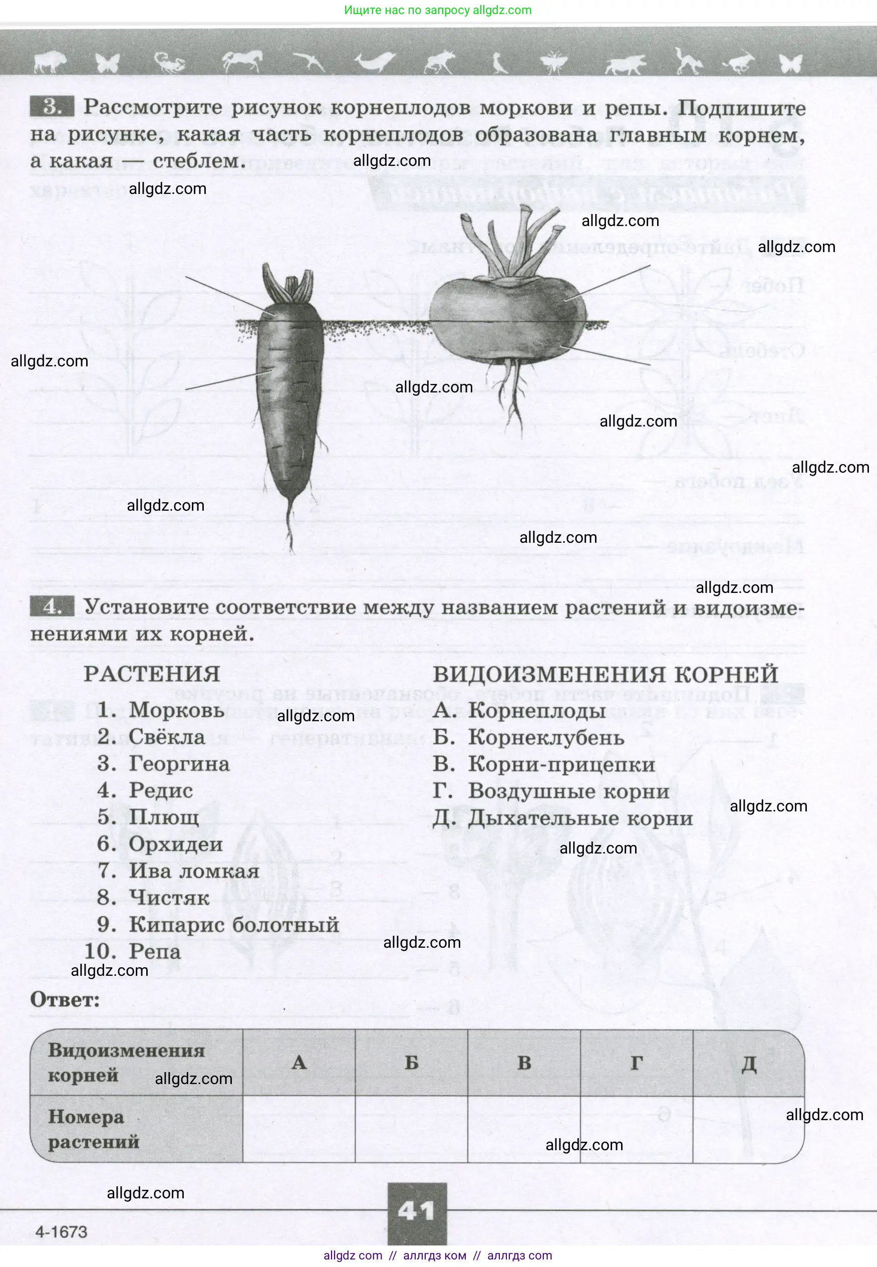 Биология, 6 класс рабочая тетрадь, авторы: Пасечник Владимир Васильевич, Суматохин Сергей Витальевич, Швецов Глеб Геннадьевич, Гапонюк Зоя Георгиевна, Косарькова Марина Викторовна, издательство Просвещение, Москва, 2023, белого цвета, страница 41