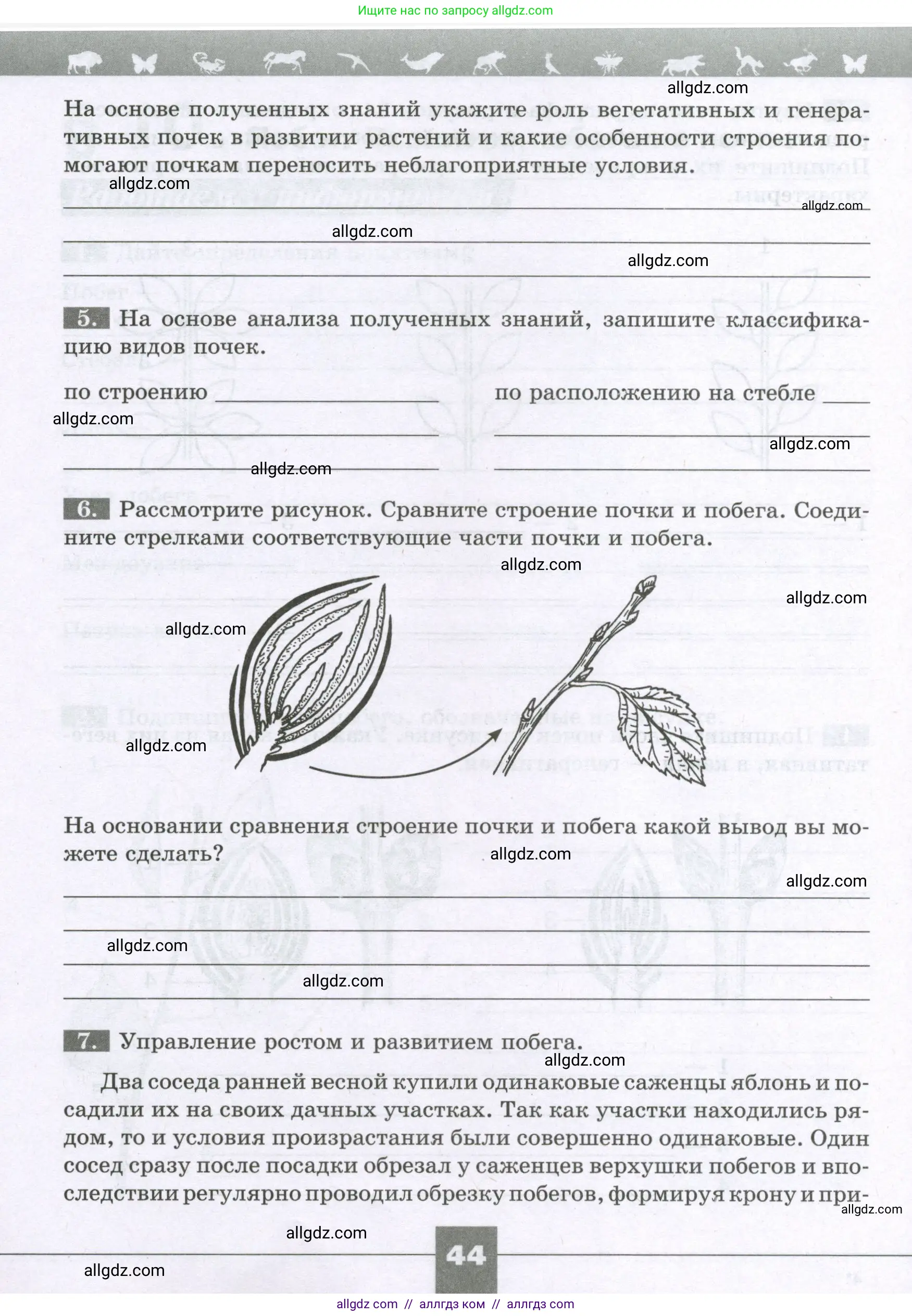 Биология, 6 класс рабочая тетрадь, авторы: Пасечник Владимир Васильевич, Суматохин Сергей Витальевич, Швецов Глеб Геннадьевич, Гапонюк Зоя Георгиевна, Косарькова Марина Викторовна, издательство Просвещение, Москва, 2023, белого цвета, страница 44