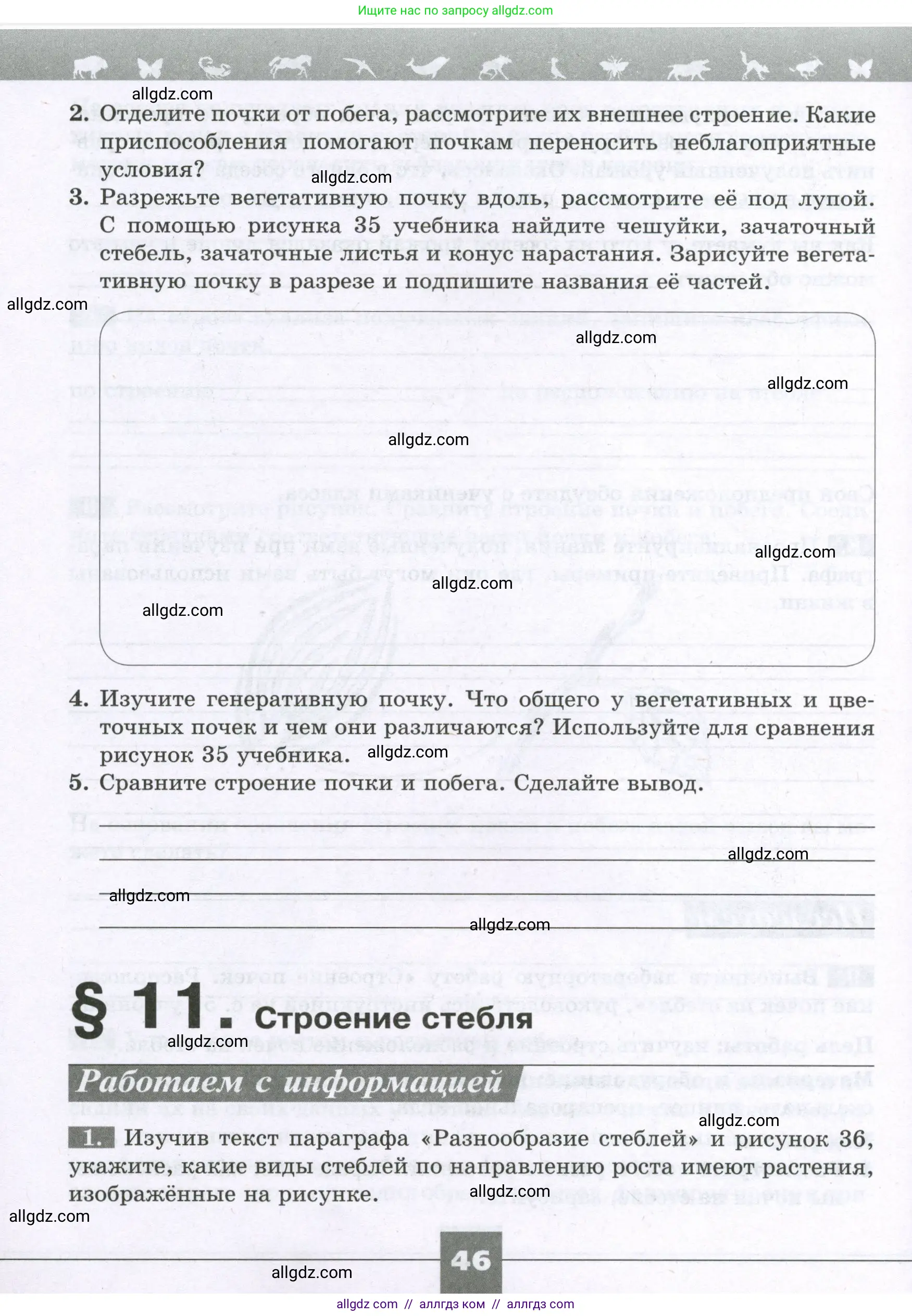 Биология, 6 класс рабочая тетрадь, авторы: Пасечник Владимир Васильевич, Суматохин Сергей Витальевич, Швецов Глеб Геннадьевич, Гапонюк Зоя Георгиевна, Косарькова Марина Викторовна, издательство Просвещение, Москва, 2023, белого цвета, страница 46
