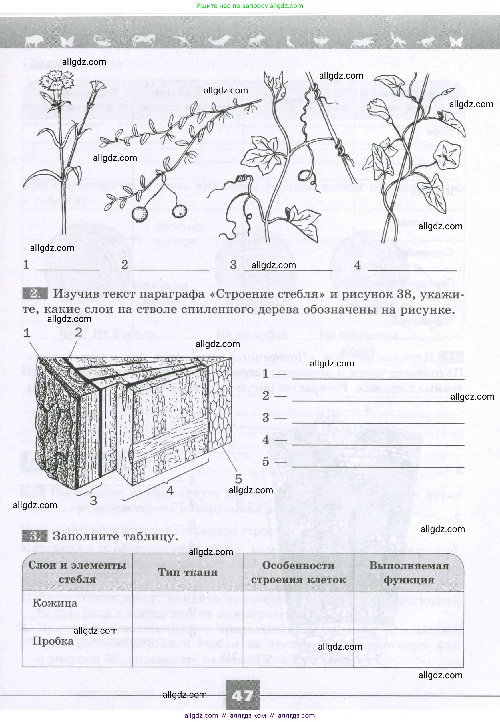 Биология, 6 класс рабочая тетрадь, авторы: Пасечник Владимир Васильевич, Суматохин Сергей Витальевич, Швецов Глеб Геннадьевич, Гапонюк Зоя Георгиевна, Косарькова Марина Викторовна, издательство Просвещение, Москва, 2023, белого цвета, страница 47