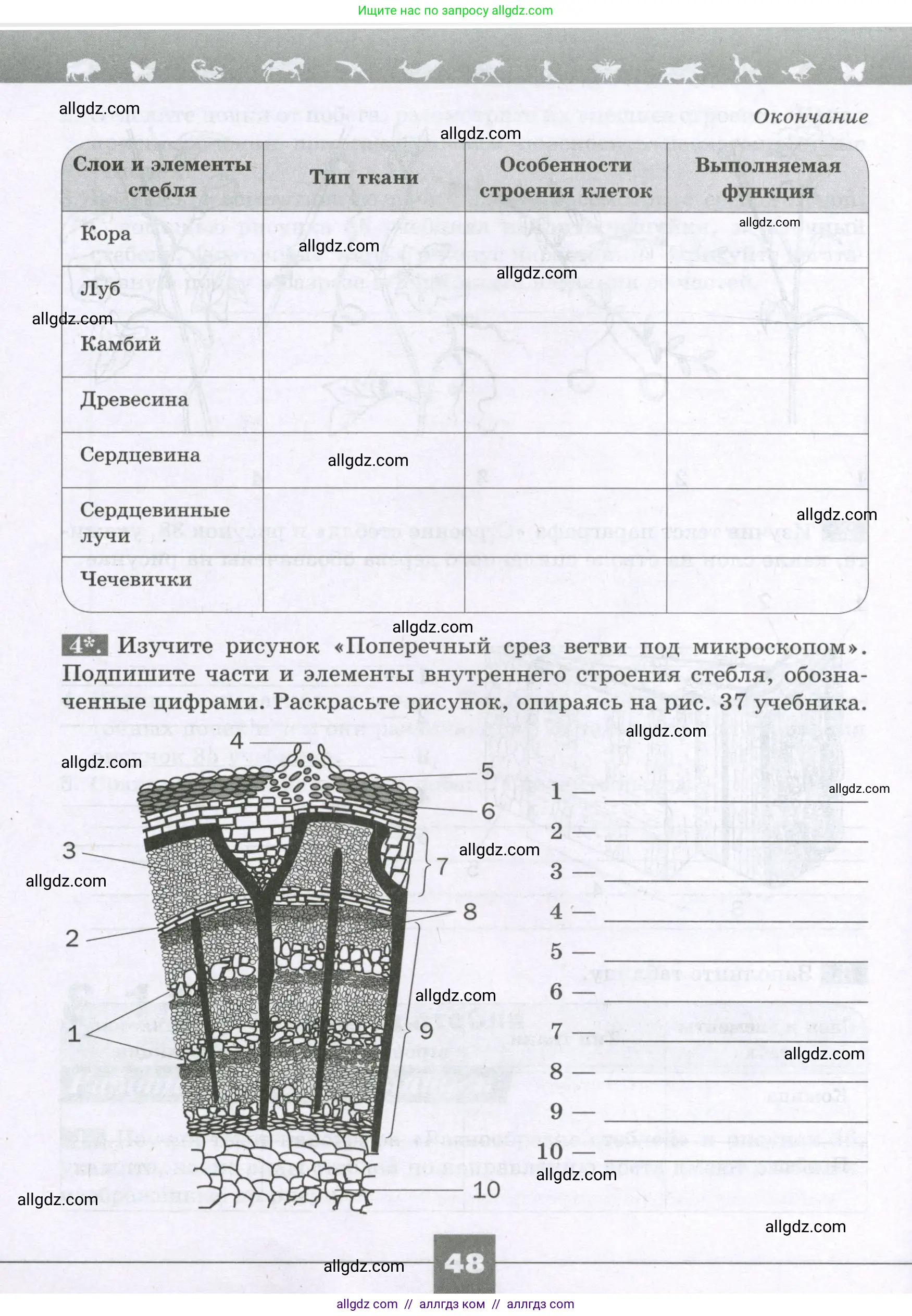 Биология, 6 класс рабочая тетрадь, авторы: Пасечник Владимир Васильевич, Суматохин Сергей Витальевич, Швецов Глеб Геннадьевич, Гапонюк Зоя Георгиевна, Косарькова Марина Викторовна, издательство Просвещение, Москва, 2023, белого цвета, страница 48