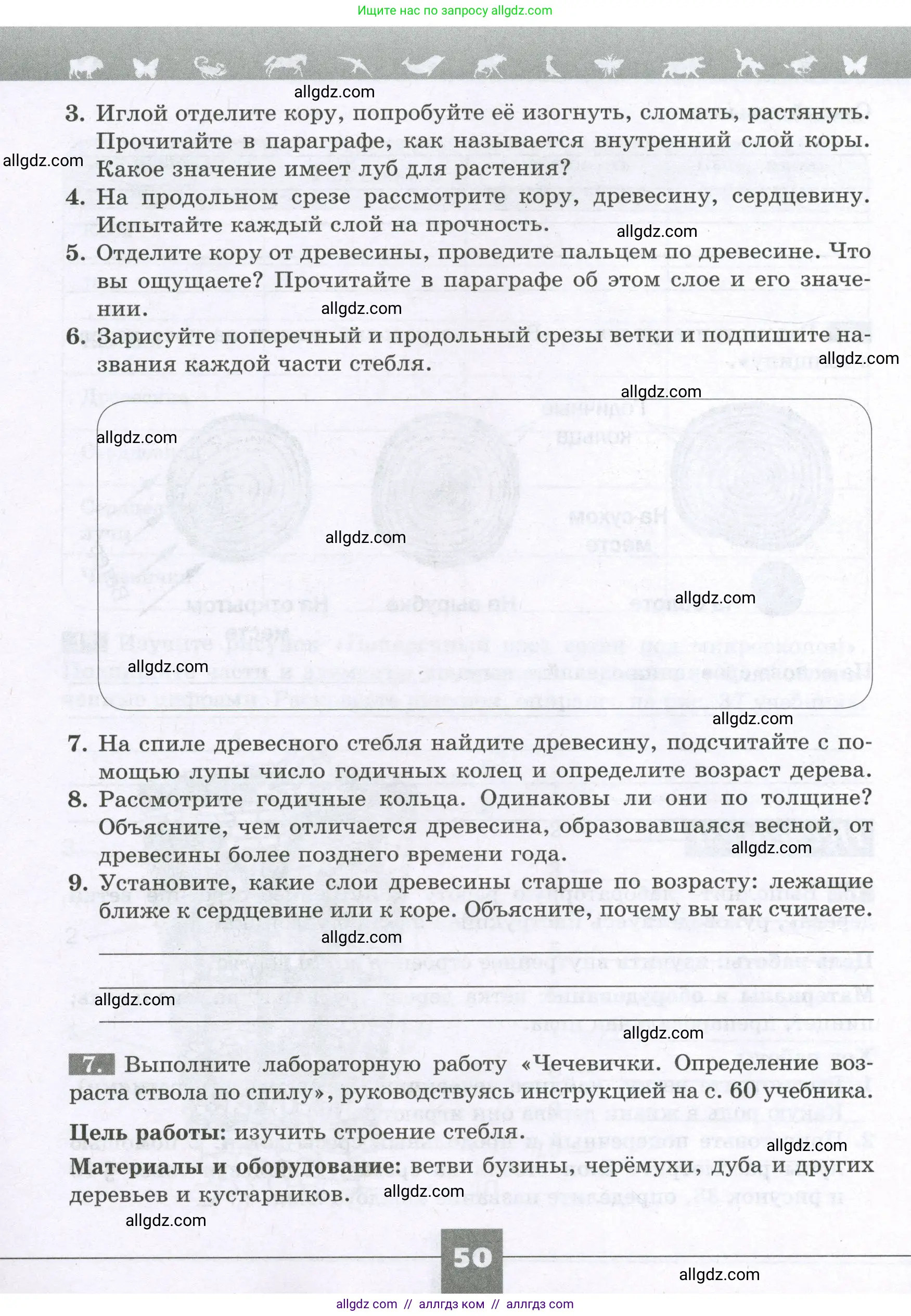 Биология, 6 класс рабочая тетрадь, авторы: Пасечник Владимир Васильевич, Суматохин Сергей Витальевич, Швецов Глеб Геннадьевич, Гапонюк Зоя Георгиевна, Косарькова Марина Викторовна, издательство Просвещение, Москва, 2023, белого цвета, страница 50