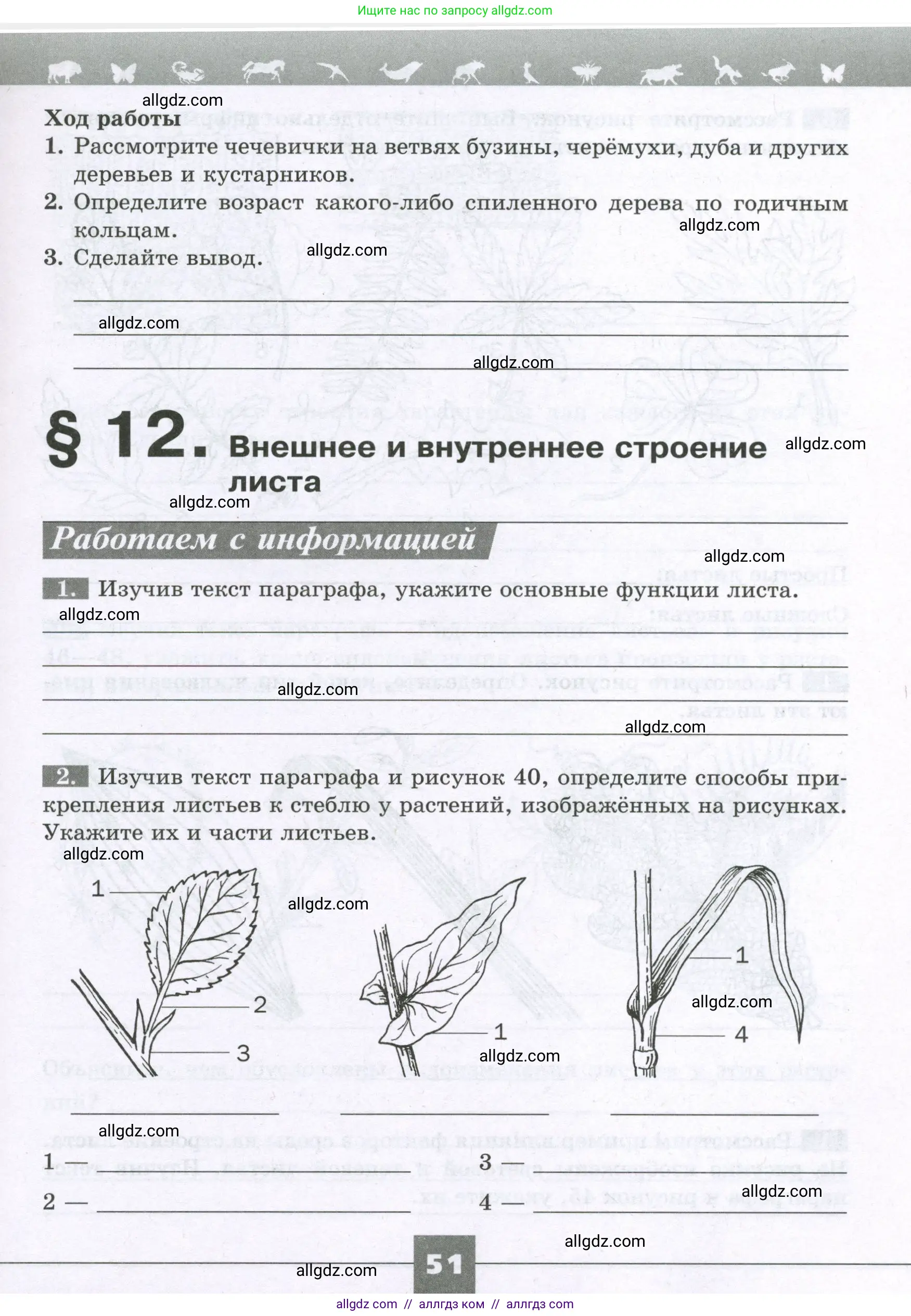 Биология, 6 класс рабочая тетрадь, авторы: Пасечник Владимир Васильевич, Суматохин Сергей Витальевич, Швецов Глеб Геннадьевич, Гапонюк Зоя Георгиевна, Косарькова Марина Викторовна, издательство Просвещение, Москва, 2023, белого цвета, страница 51