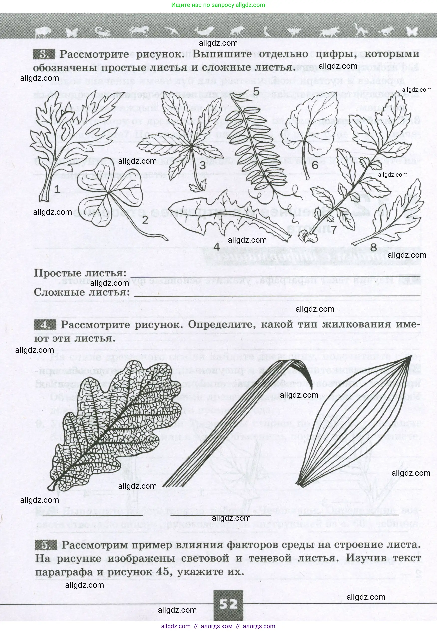 Биология, 6 класс рабочая тетрадь, авторы: Пасечник Владимир Васильевич, Суматохин Сергей Витальевич, Швецов Глеб Геннадьевич, Гапонюк Зоя Георгиевна, Косарькова Марина Викторовна, издательство Просвещение, Москва, 2023, белого цвета, страница 52