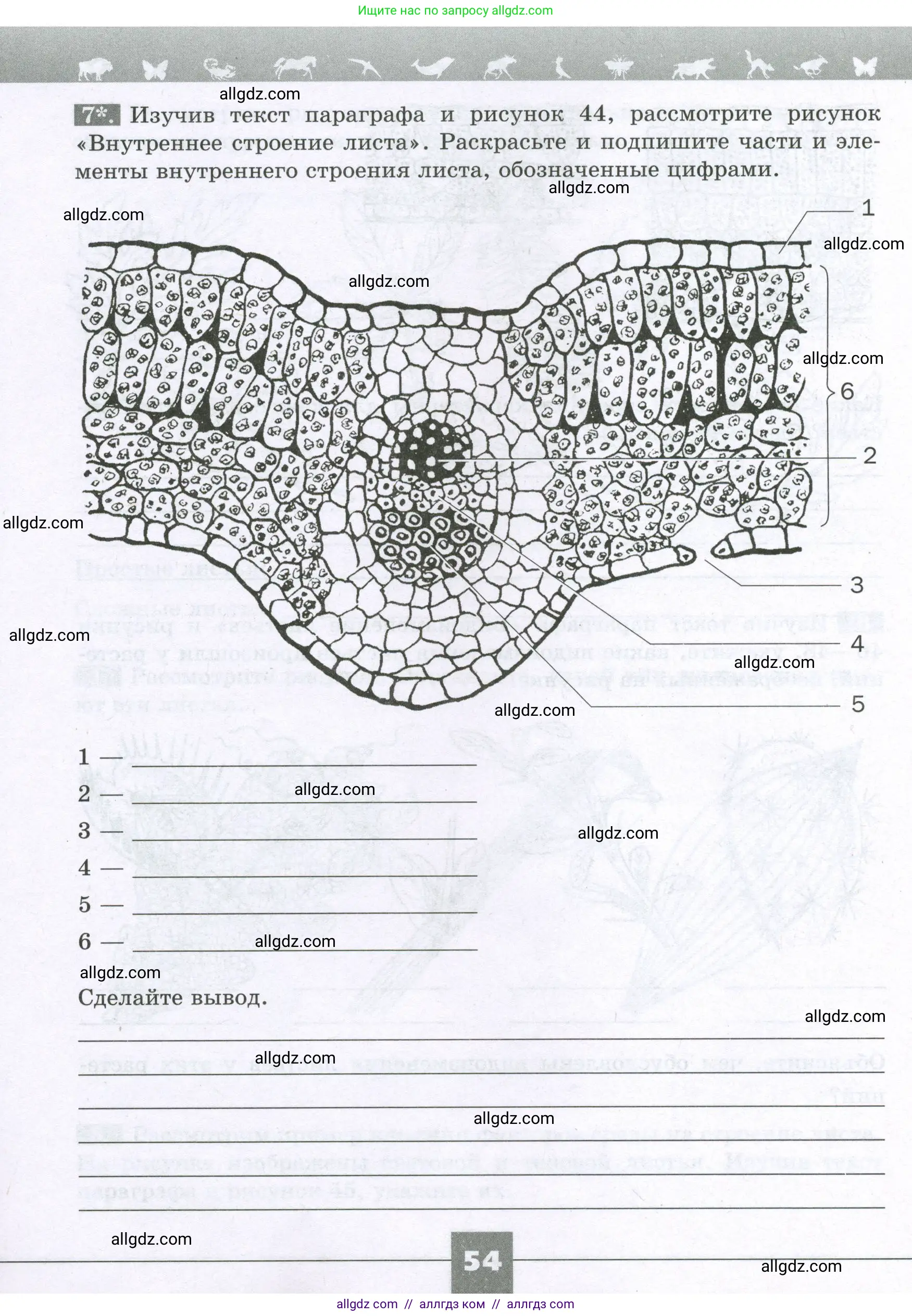 Биология, 6 класс рабочая тетрадь, авторы: Пасечник Владимир Васильевич, Суматохин Сергей Витальевич, Швецов Глеб Геннадьевич, Гапонюк Зоя Георгиевна, Косарькова Марина Викторовна, издательство Просвещение, Москва, 2023, белого цвета, страница 54