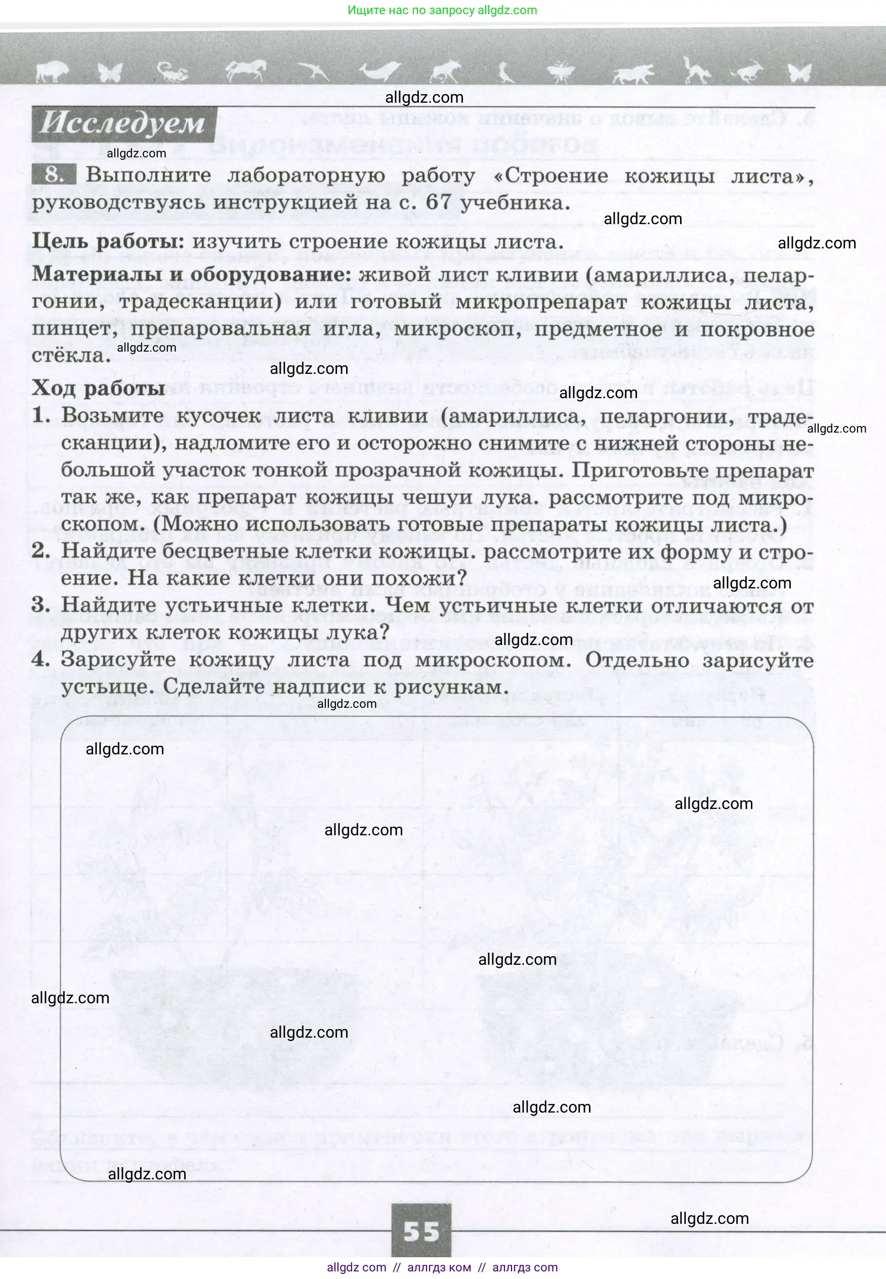 Биология, 6 класс рабочая тетрадь, авторы: Пасечник Владимир Васильевич, Суматохин Сергей Витальевич, Швецов Глеб Геннадьевич, Гапонюк Зоя Георгиевна, Косарькова Марина Викторовна, издательство Просвещение, Москва, 2023, белого цвета, страница 55