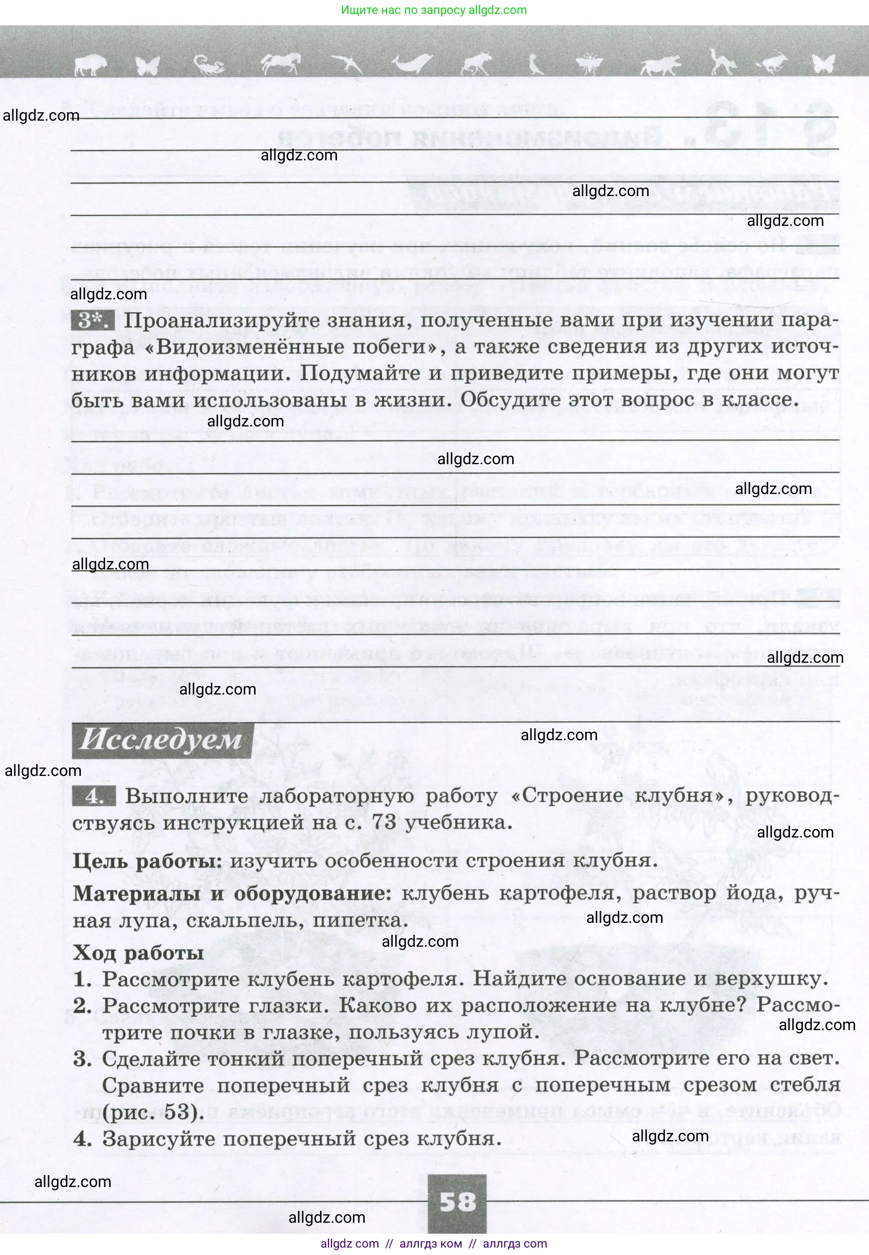 Биология, 6 класс рабочая тетрадь, авторы: Пасечник Владимир Васильевич, Суматохин Сергей Витальевич, Швецов Глеб Геннадьевич, Гапонюк Зоя Георгиевна, Косарькова Марина Викторовна, издательство Просвещение, Москва, 2023, белого цвета, страница 58