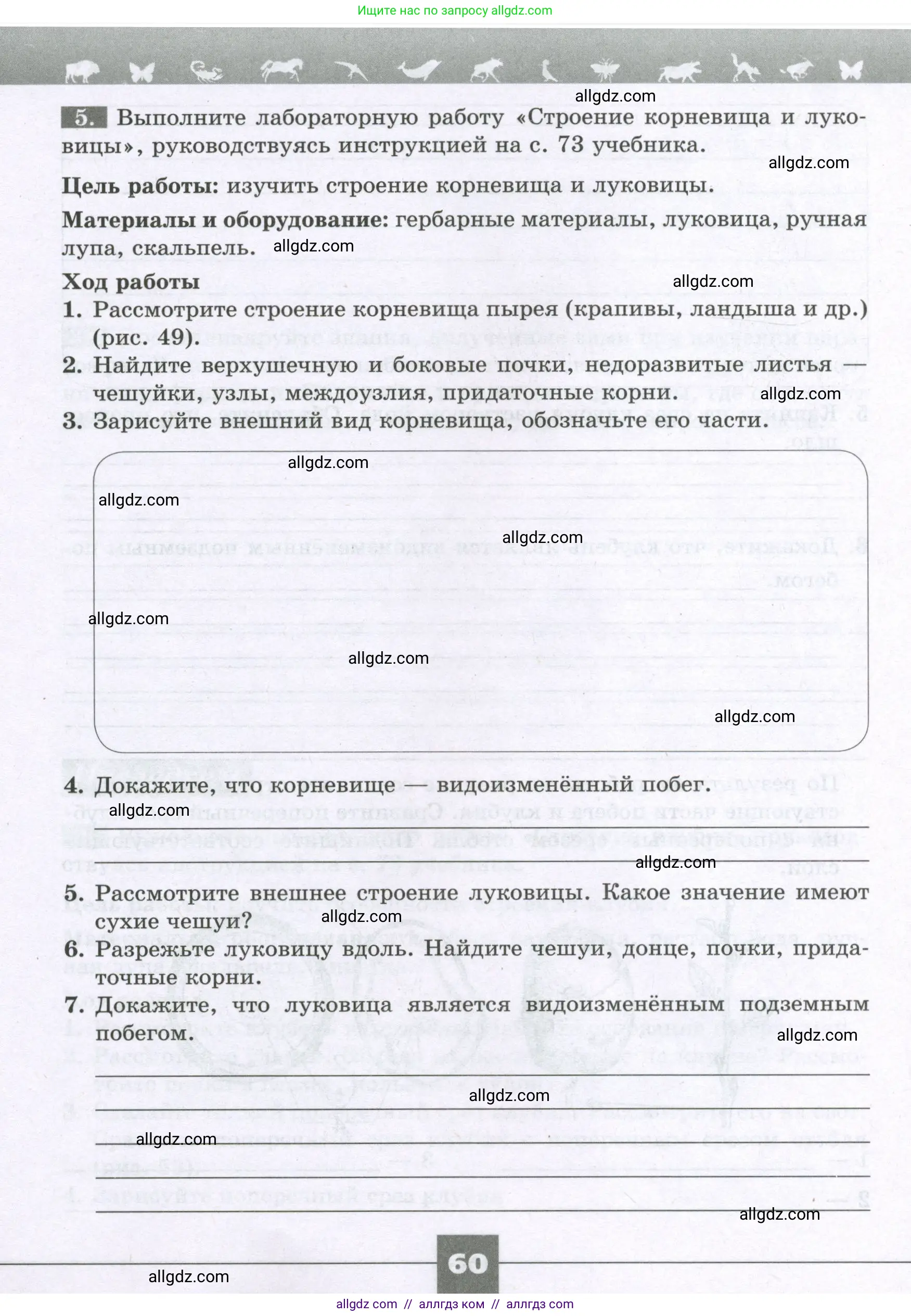 Биология, 6 класс рабочая тетрадь, авторы: Пасечник Владимир Васильевич, Суматохин Сергей Витальевич, Швецов Глеб Геннадьевич, Гапонюк Зоя Георгиевна, Косарькова Марина Викторовна, издательство Просвещение, Москва, 2023, белого цвета, страница 60