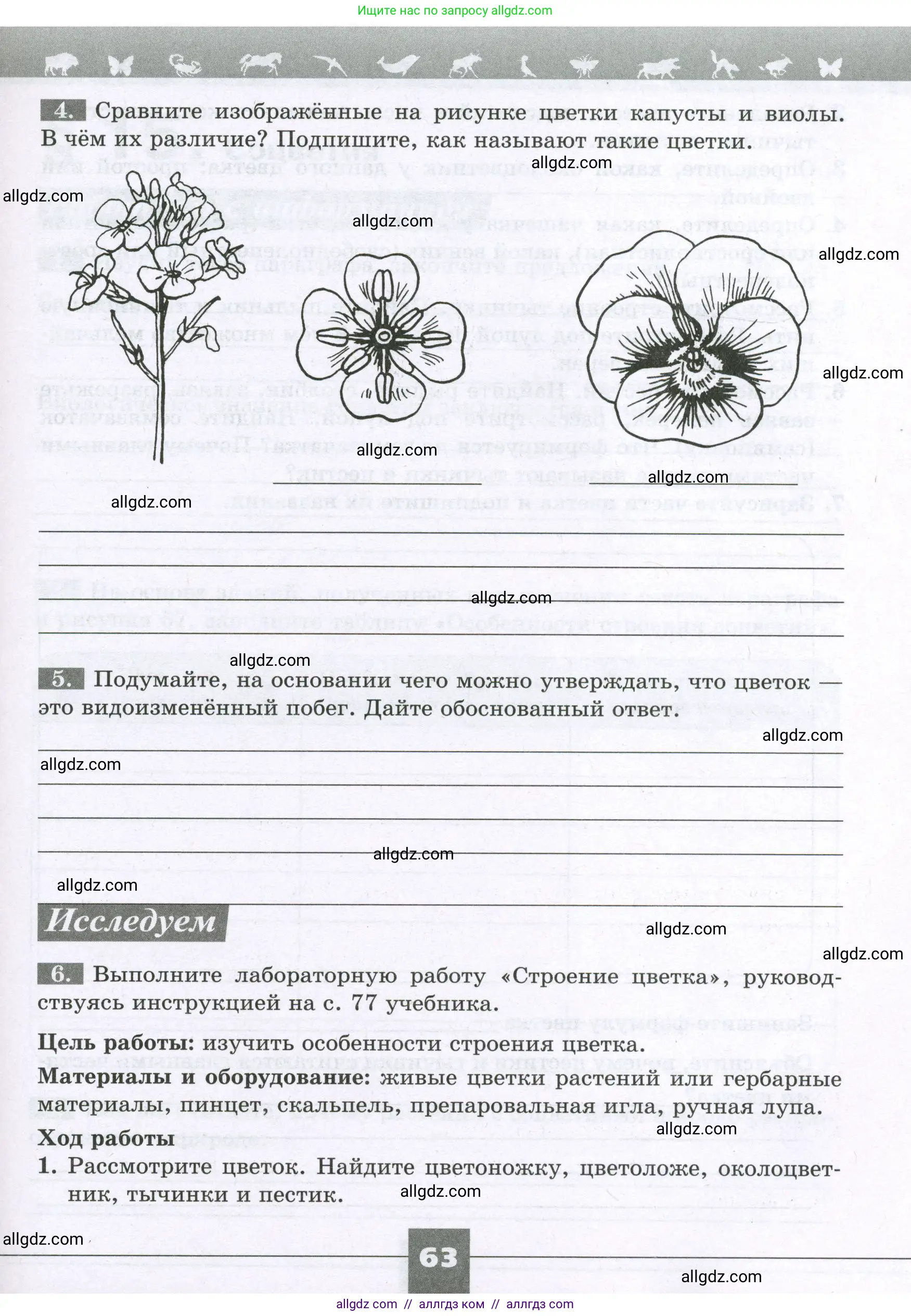 Биология, 6 класс рабочая тетрадь, авторы: Пасечник Владимир Васильевич, Суматохин Сергей Витальевич, Швецов Глеб Геннадьевич, Гапонюк Зоя Георгиевна, Косарькова Марина Викторовна, издательство Просвещение, Москва, 2023, белого цвета, страница 63