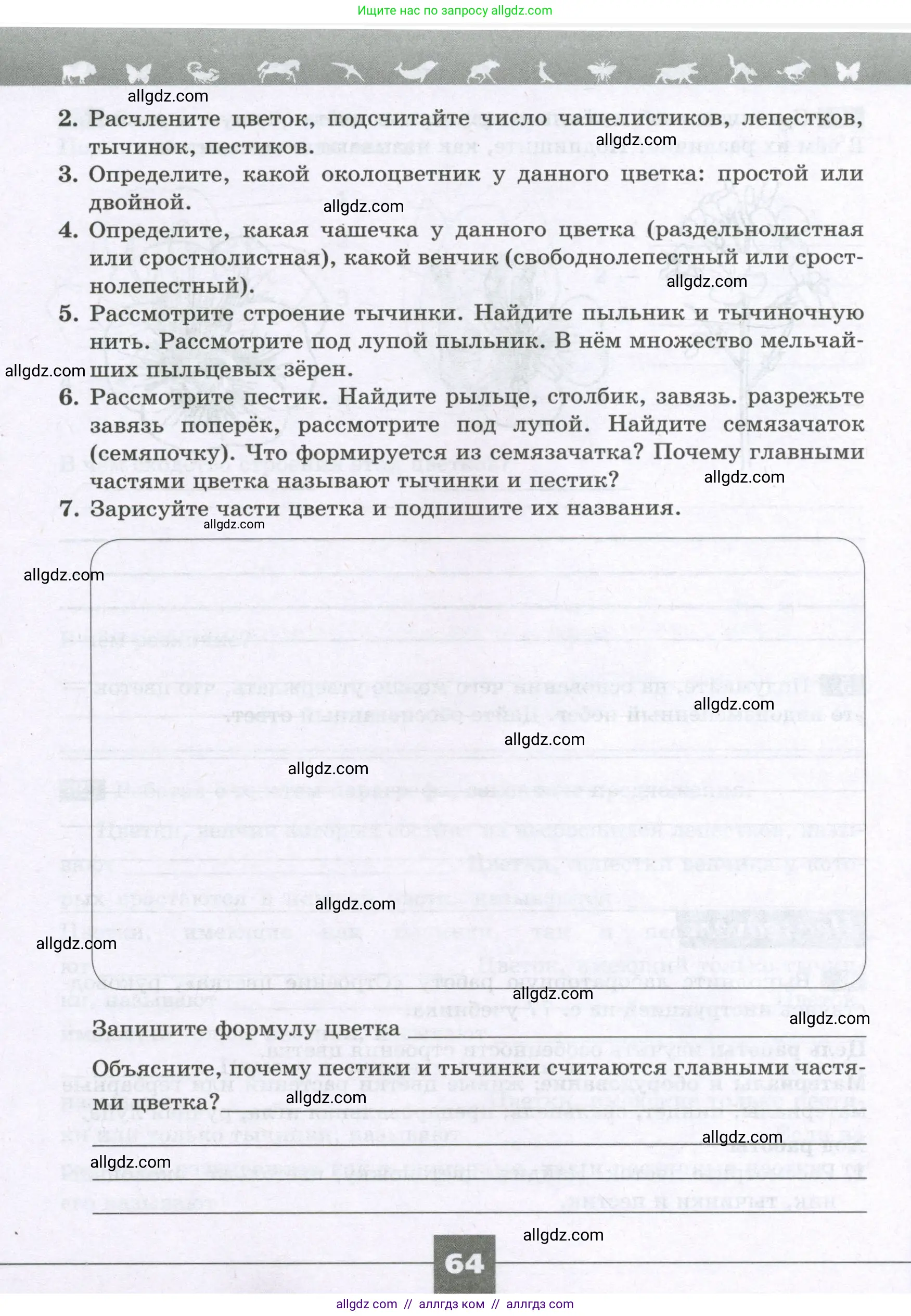 Биология, 6 класс рабочая тетрадь, авторы: Пасечник Владимир Васильевич, Суматохин Сергей Витальевич, Швецов Глеб Геннадьевич, Гапонюк Зоя Георгиевна, Косарькова Марина Викторовна, издательство Просвещение, Москва, 2023, белого цвета, страница 64