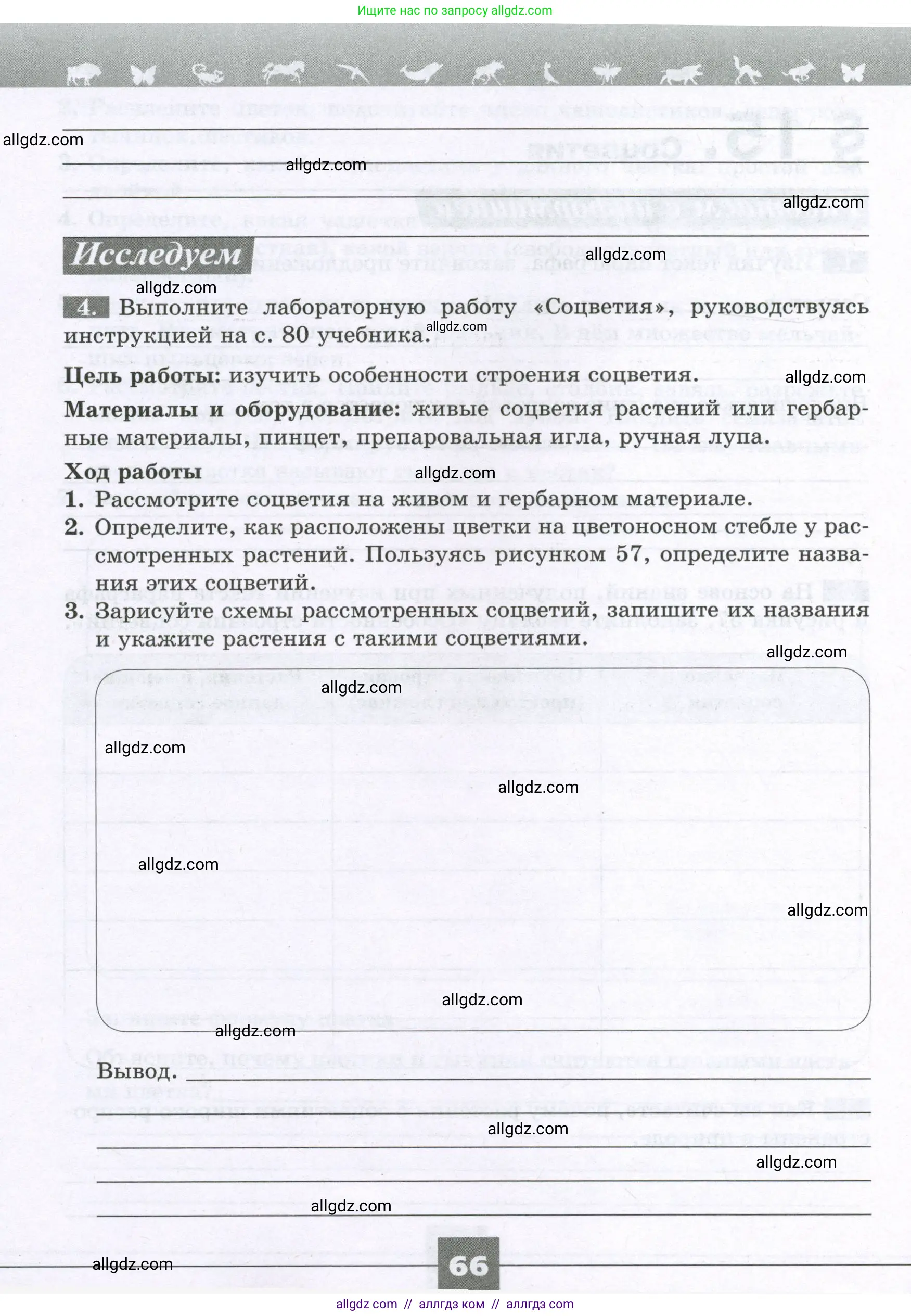 Биология, 6 класс рабочая тетрадь, авторы: Пасечник Владимир Васильевич, Суматохин Сергей Витальевич, Швецов Глеб Геннадьевич, Гапонюк Зоя Георгиевна, Косарькова Марина Викторовна, издательство Просвещение, Москва, 2023, белого цвета, страница 66