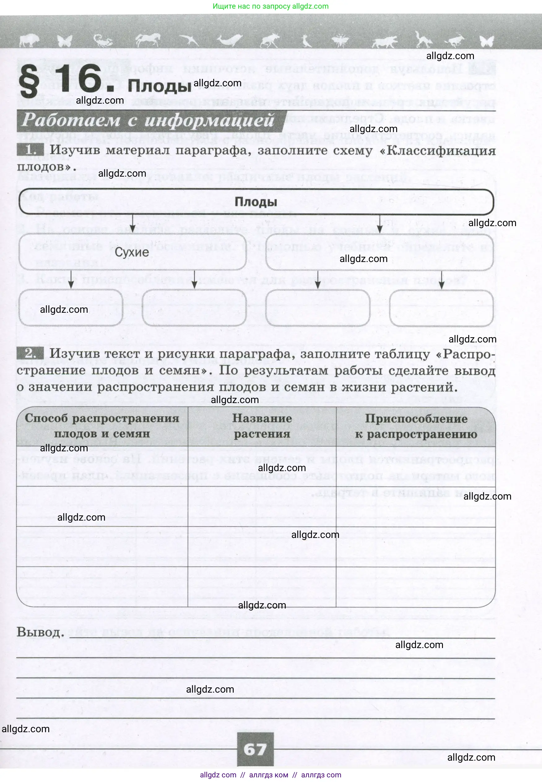 Биология, 6 класс рабочая тетрадь, авторы: Пасечник Владимир Васильевич, Суматохин Сергей Витальевич, Швецов Глеб Геннадьевич, Гапонюк Зоя Георгиевна, Косарькова Марина Викторовна, издательство Просвещение, Москва, 2023, белого цвета, страница 67
